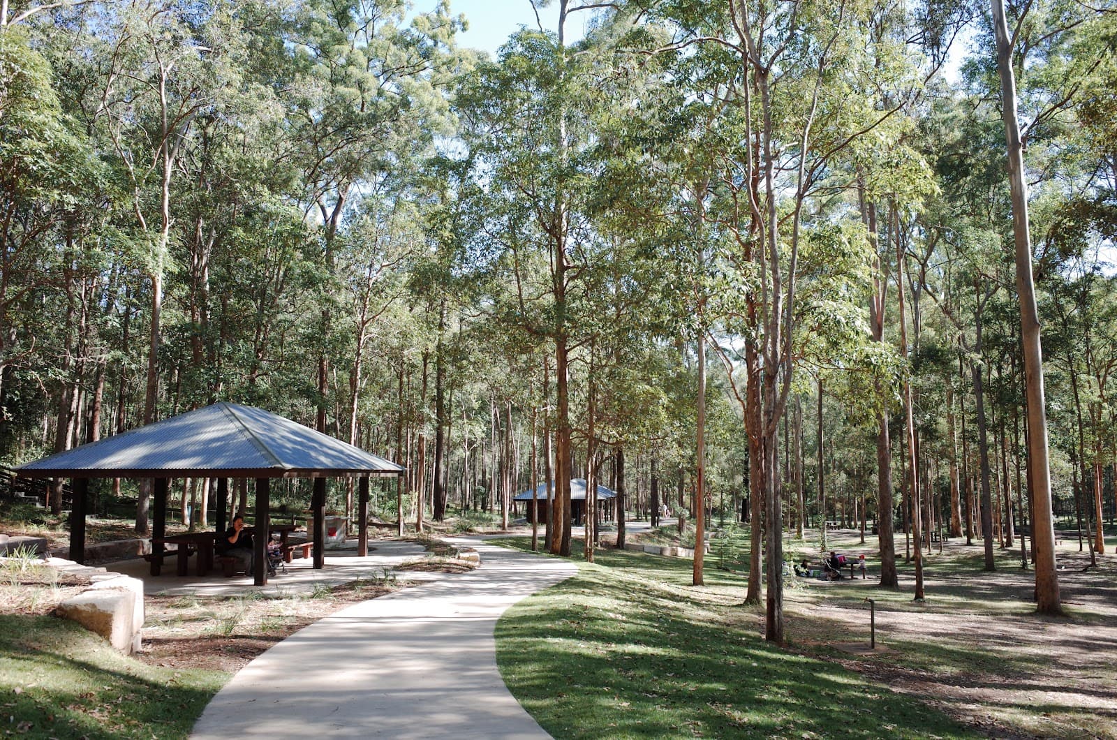 Daisy Hill Conservation Park — Milton, Brisbane