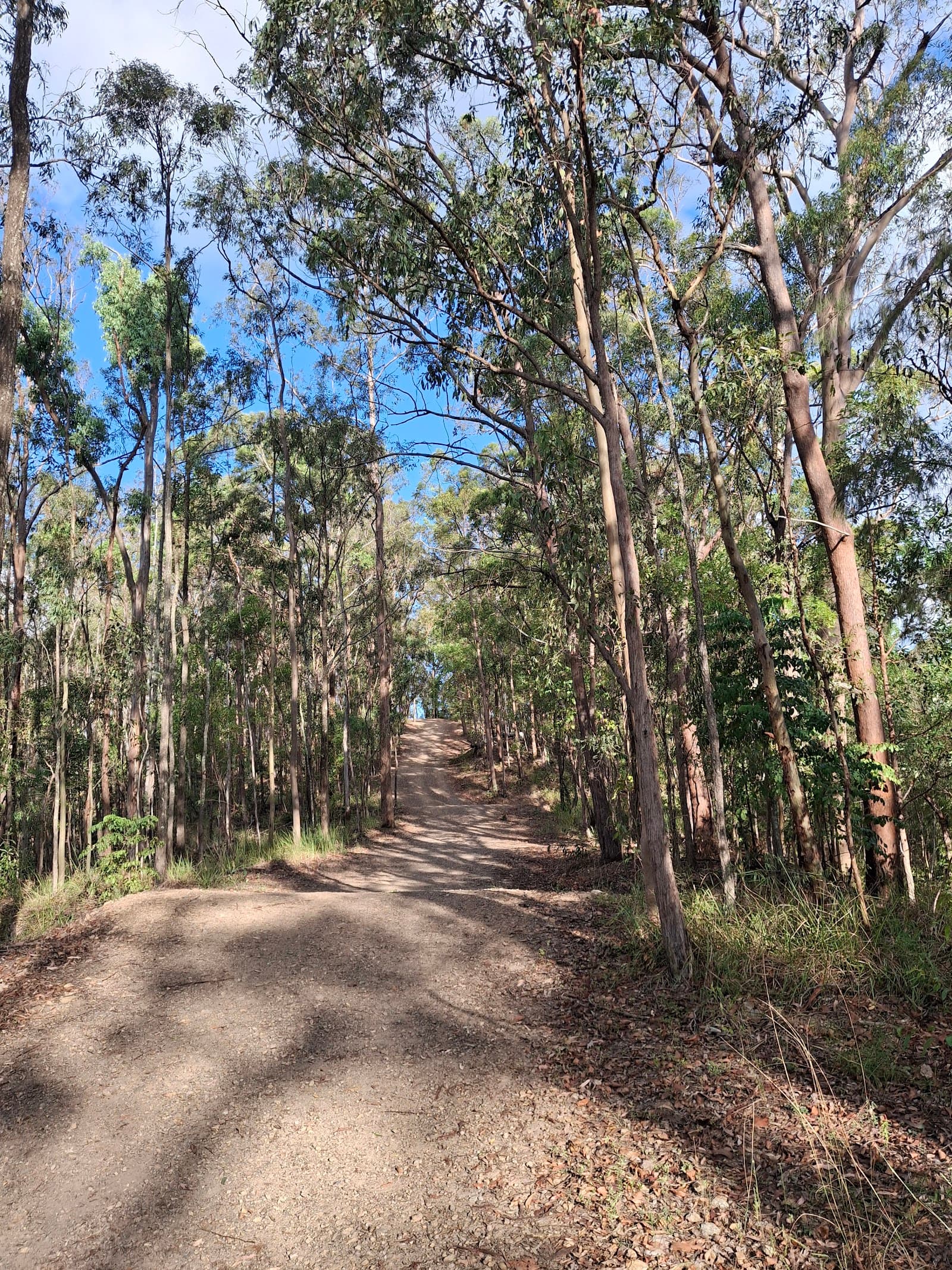Loop Start — Toowong, Brisbane