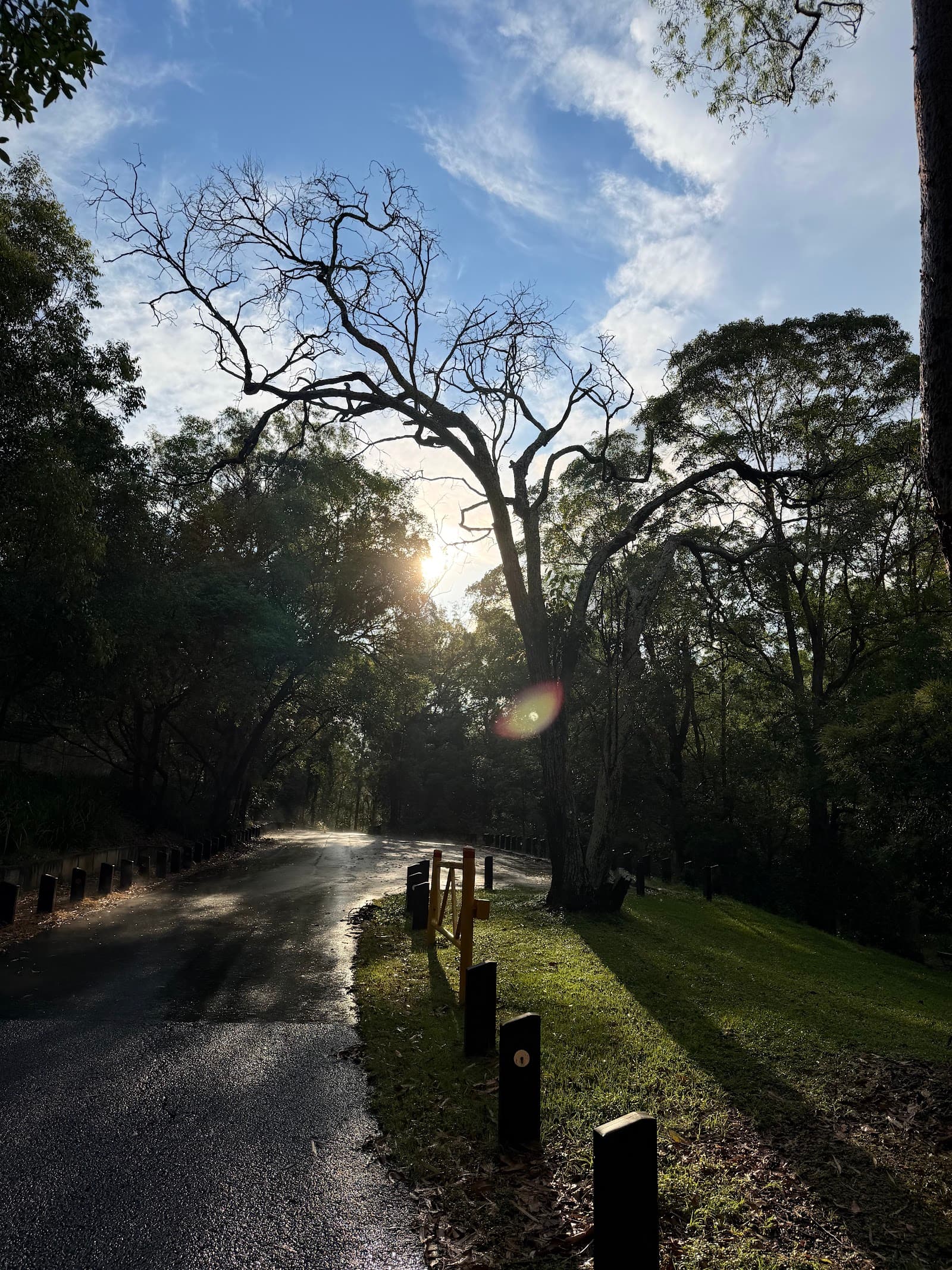 Loop Start — Toowong, Brisbane