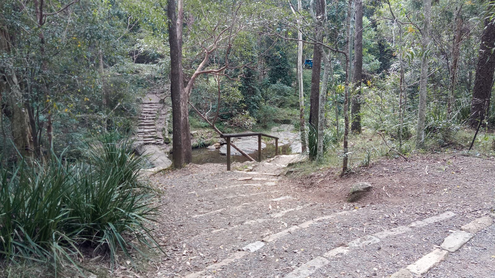 Picnic Area — Toowong, Brisbane