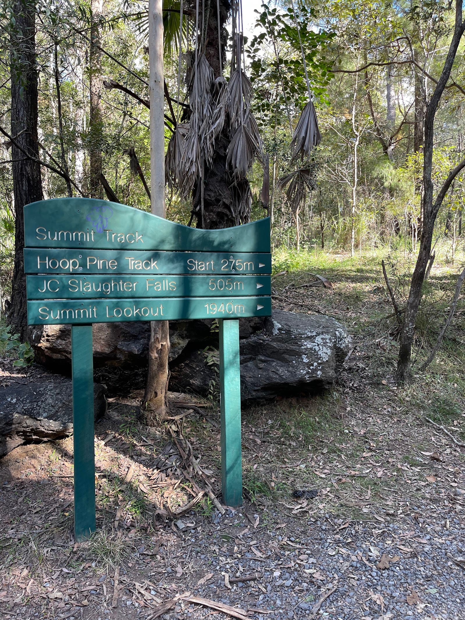 Picnic Area — Toowong, Brisbane