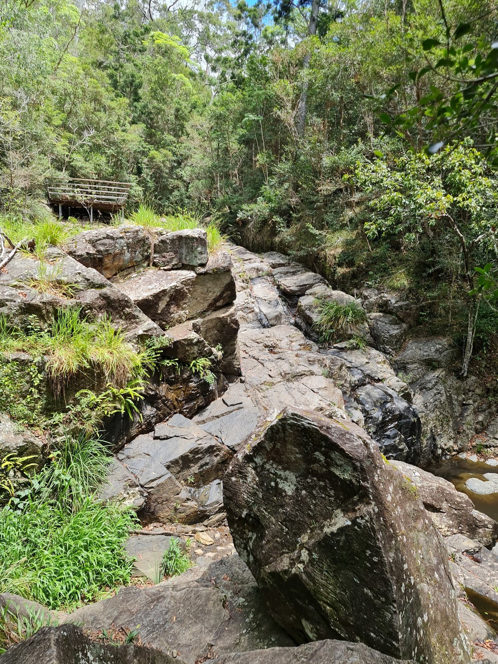 Picnic Area — Toowong, Brisbane