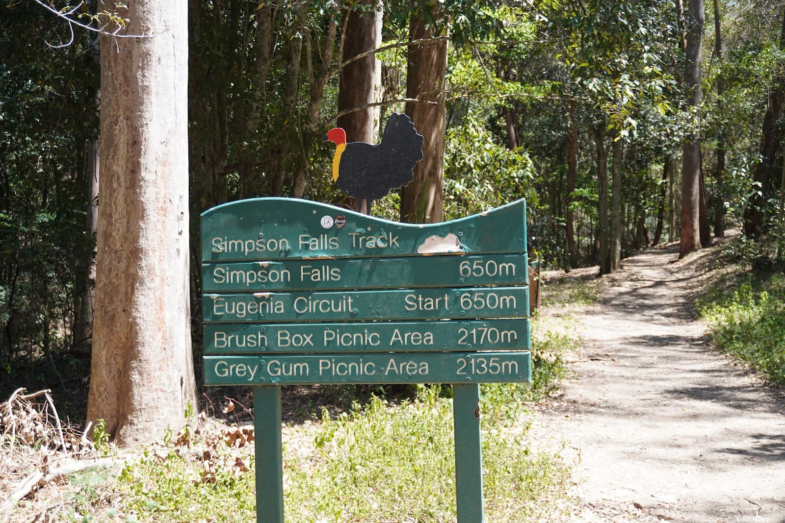 Simpson Falls — Toowong, Brisbane