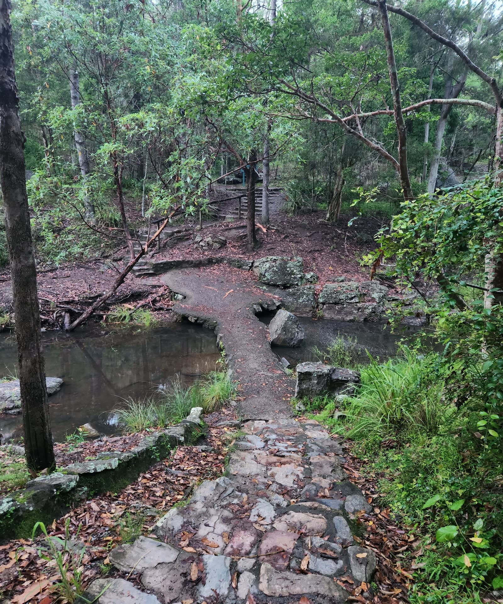 Silky Oak Picnic Area — Toowong, Brisbane