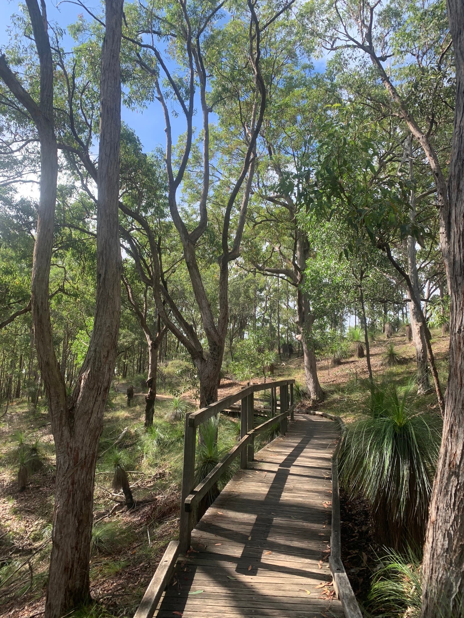 Spider Hill Lookout — Chermside, Brisbane