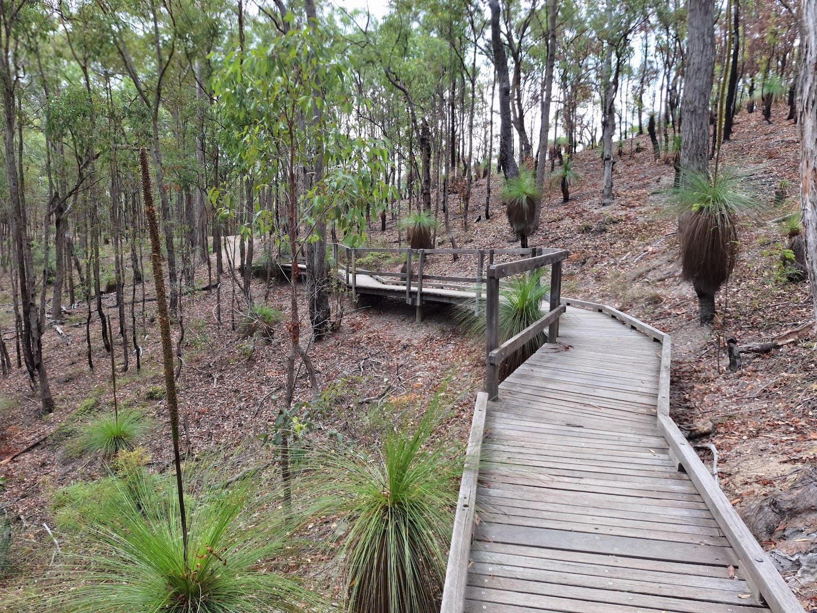 Giwadha Track — Chermside, Brisbane