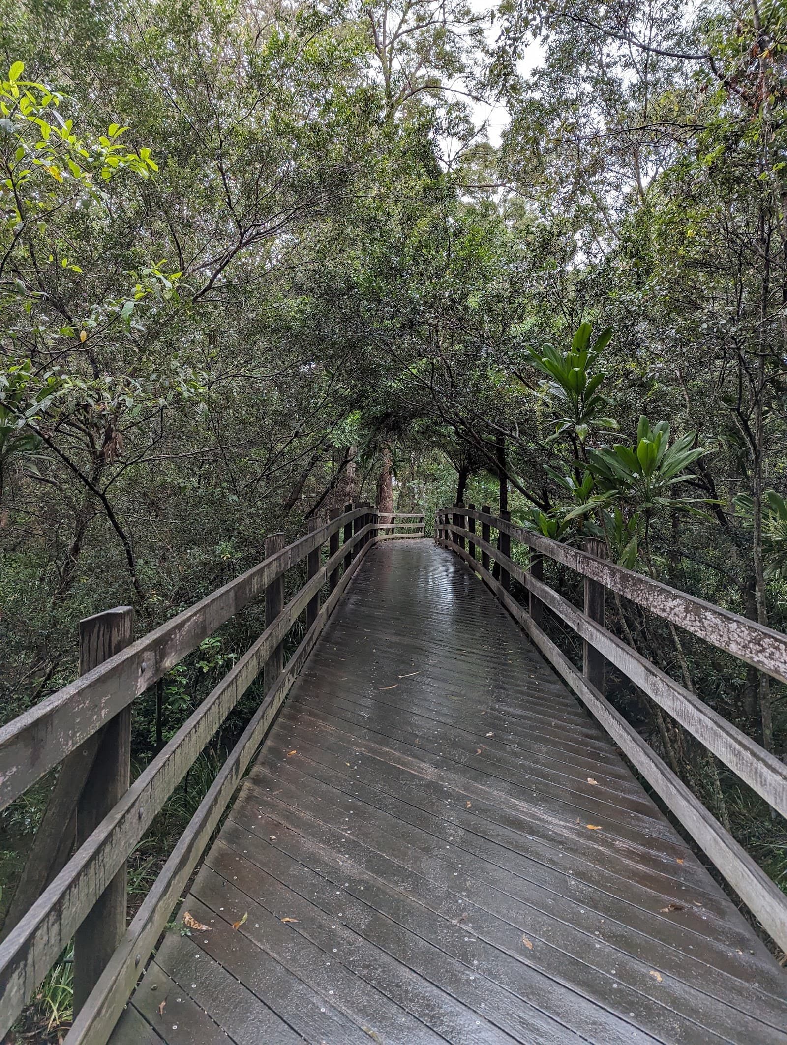Giwadha Track — Chermside, Brisbane