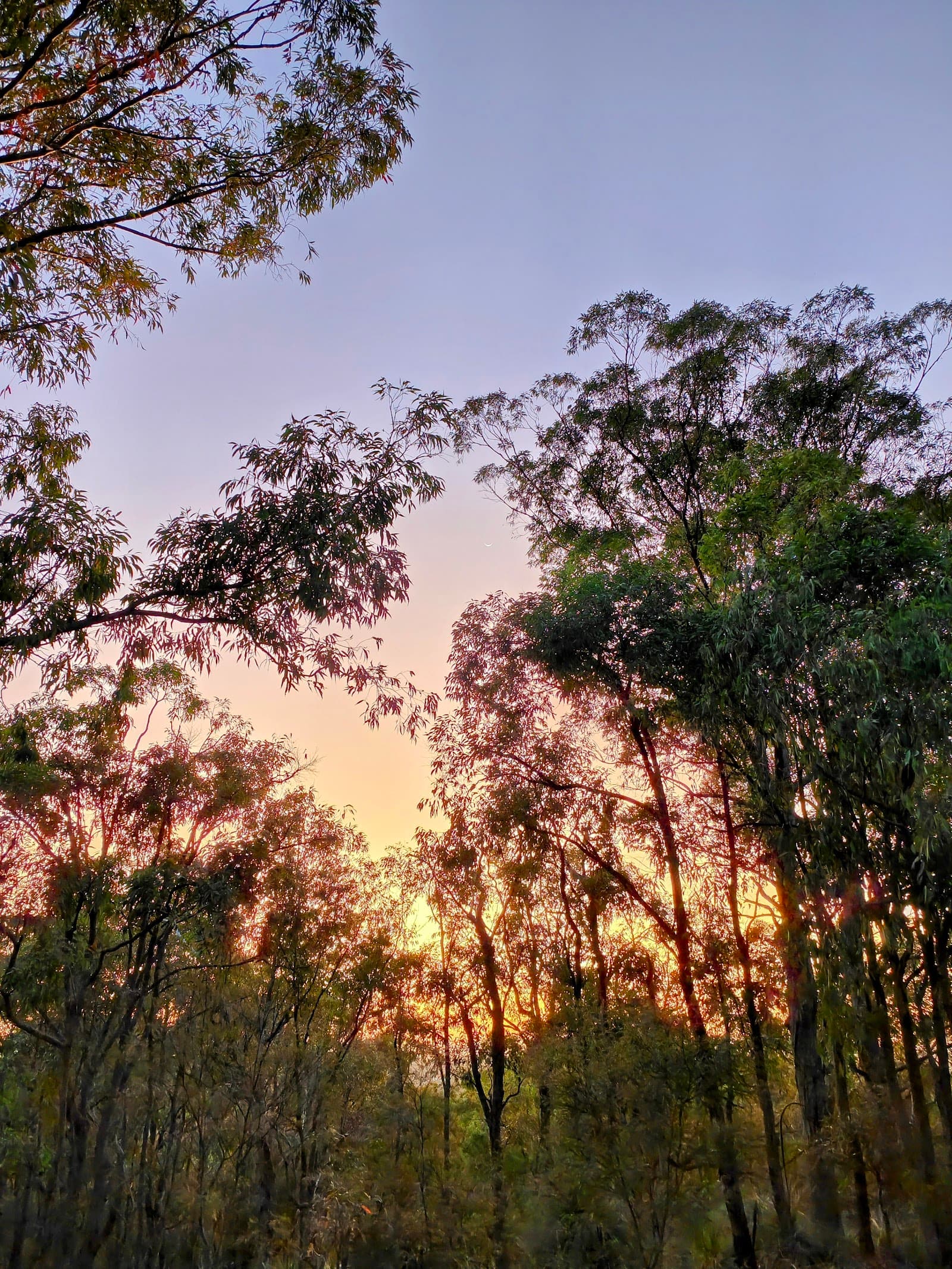 Giwadha Track — Chermside, Brisbane