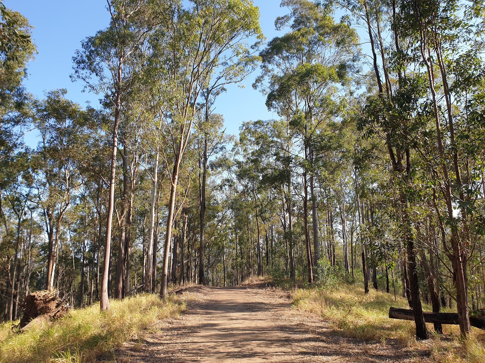 Samford Conservation Park — Indooroopilly, Brisbane
