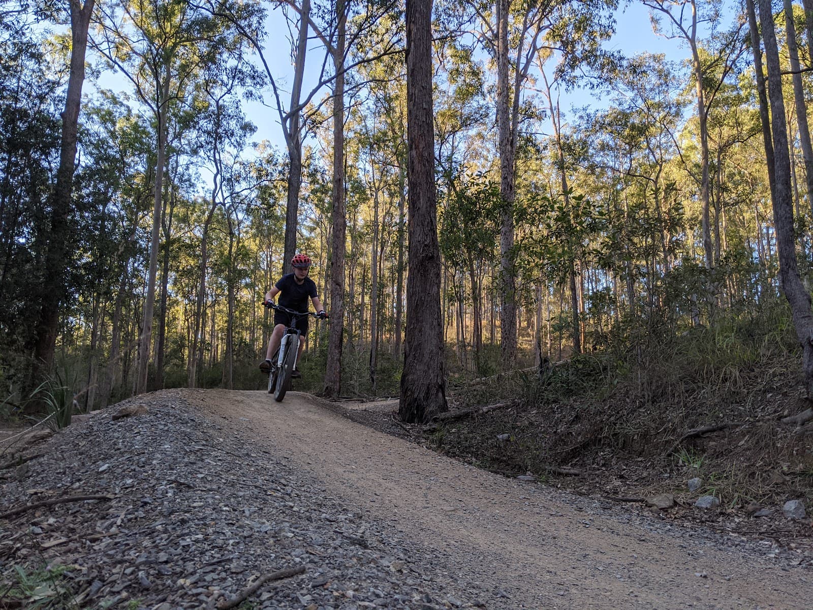 Samford Conservation Park — Indooroopilly, Brisbane