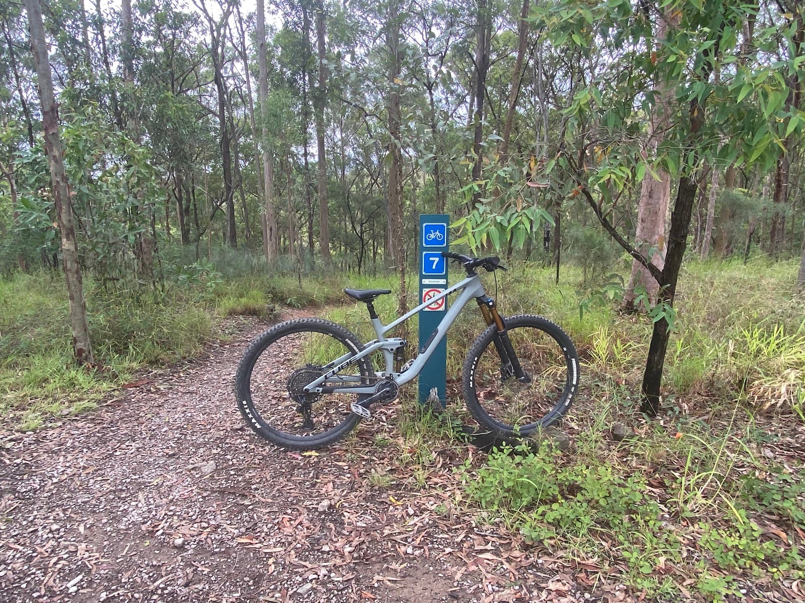 Samford Conservation Park — Indooroopilly, Brisbane