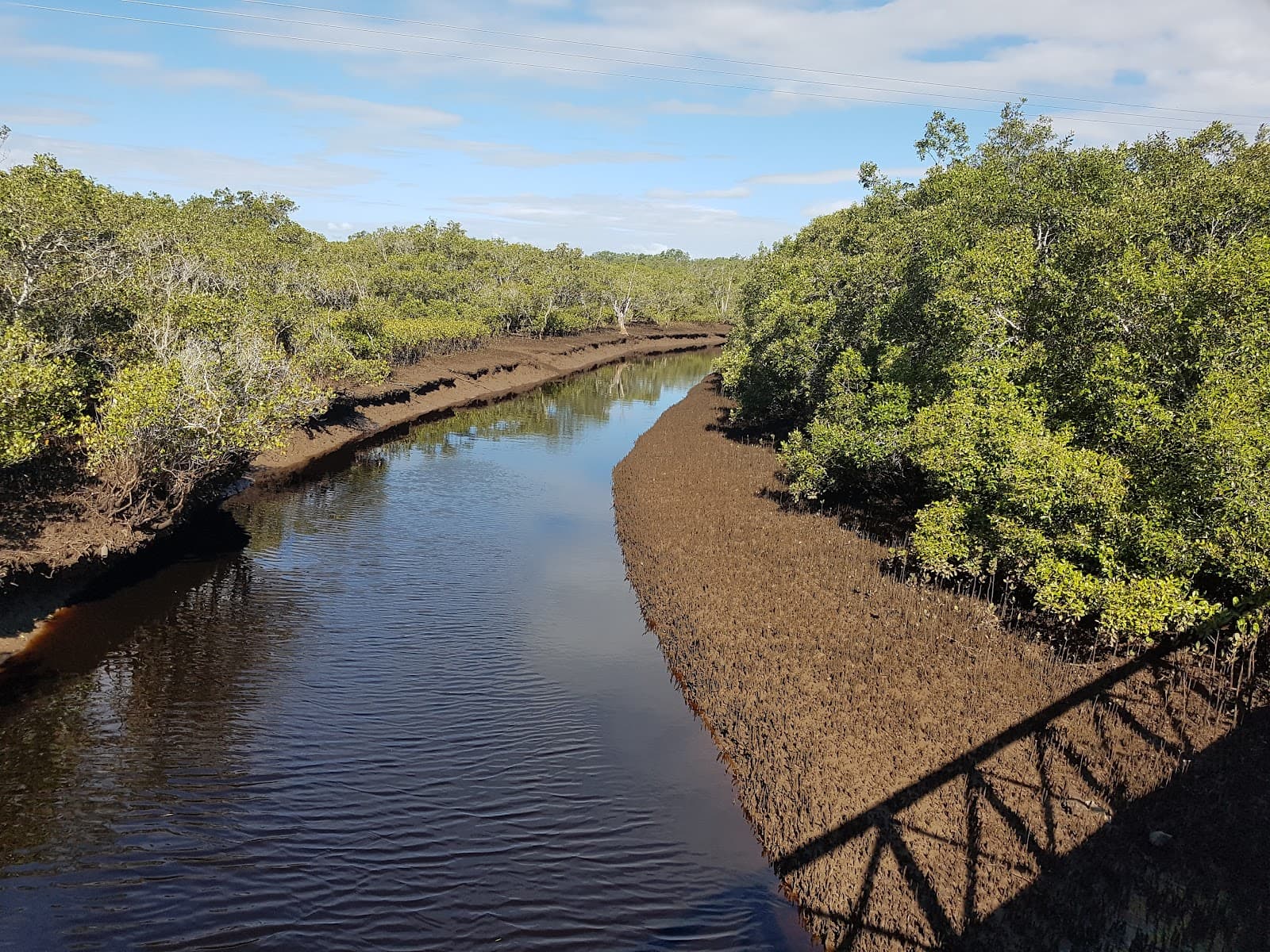 Lota Creek Boardwalk — Manly, Brisbane