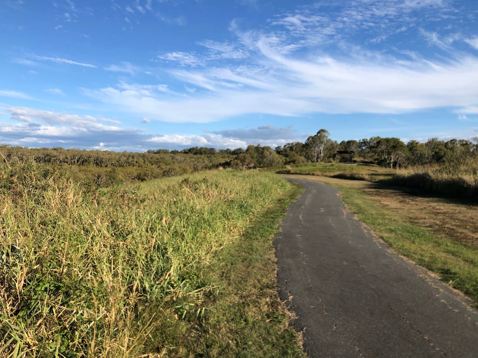 Wynnum North Conservation Site — Wynnum, Brisbane