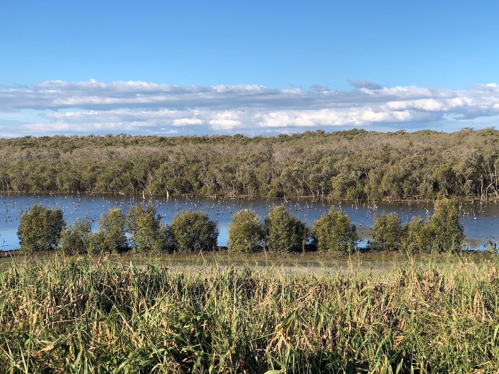 Wynnum North Conservation Site — Wynnum, Brisbane