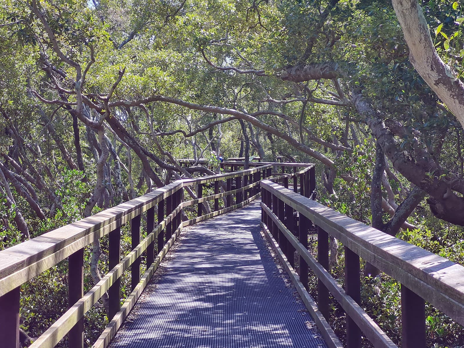 Wynnum Wetlands Birdhide — Wynnum, Brisbane