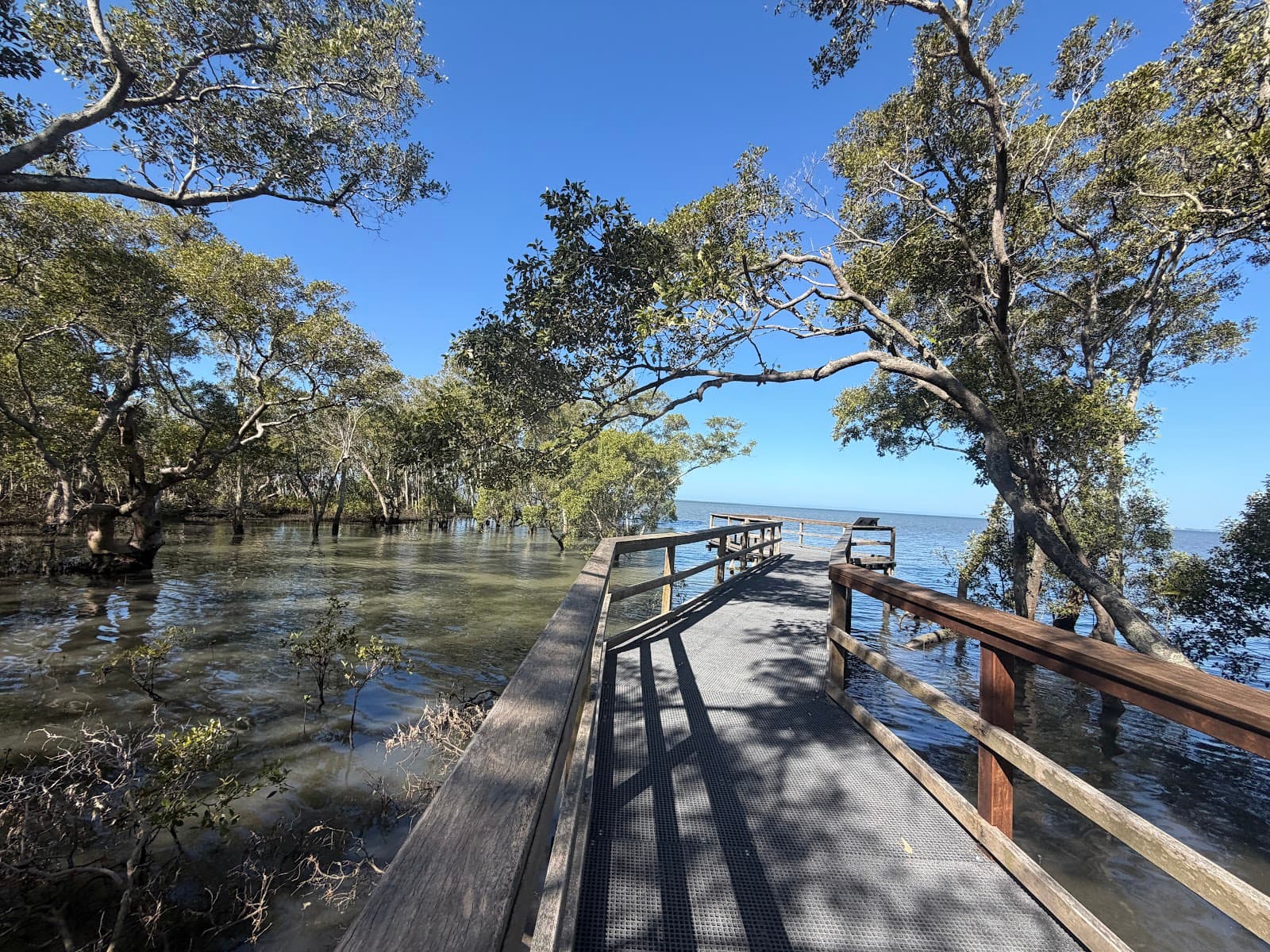 Council Free Public Tidal Bird Hide Boardwalk Loop — Wynnum, Brisbane