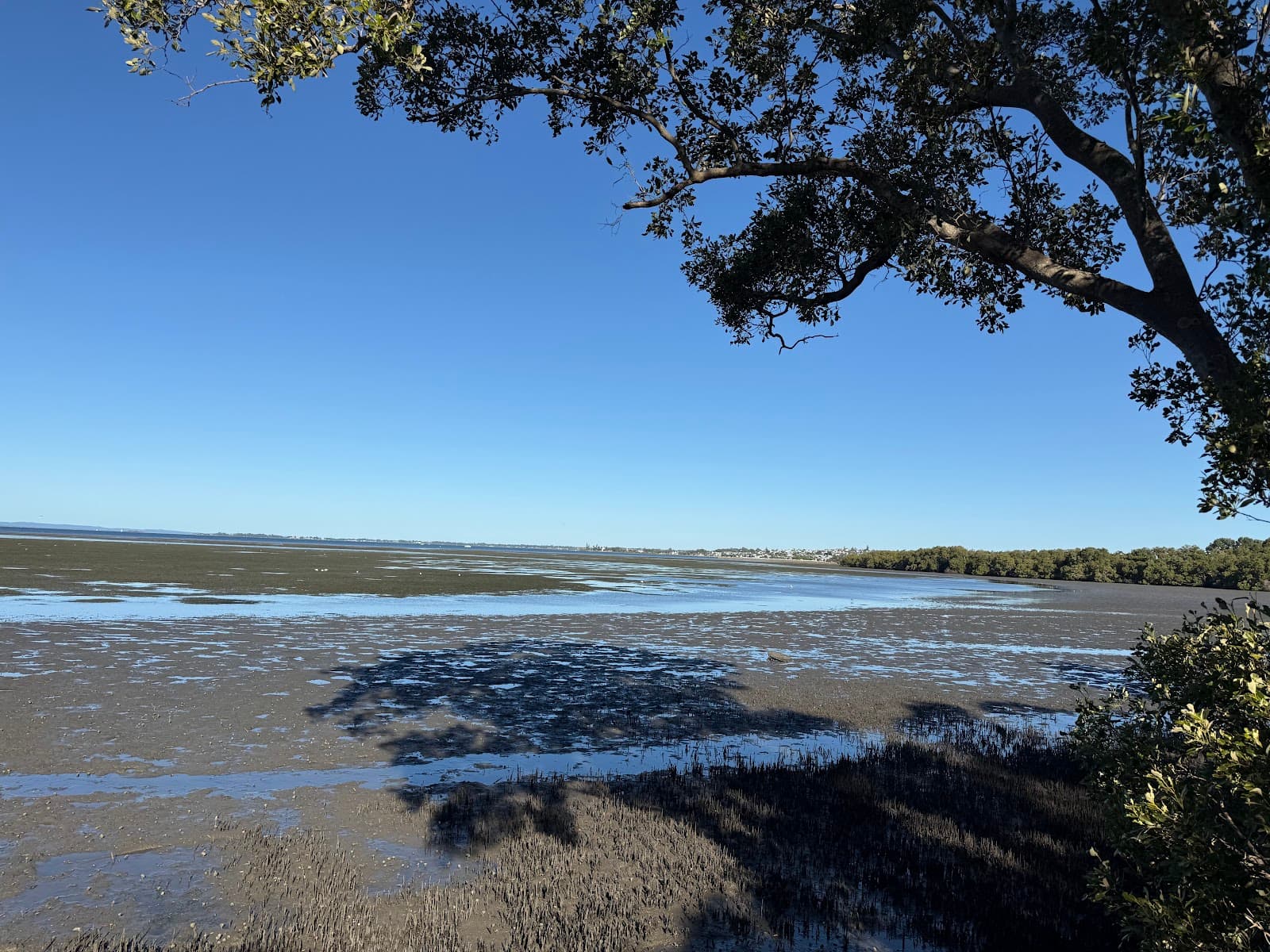 Council Free Public Tidal Bird Hide Boardwalk Loop — Port Of Brisbane, Brisbane
