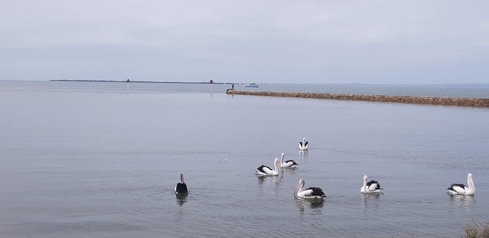 Wynnum Creek Boat South Ramp — Wynnum, Brisbane
