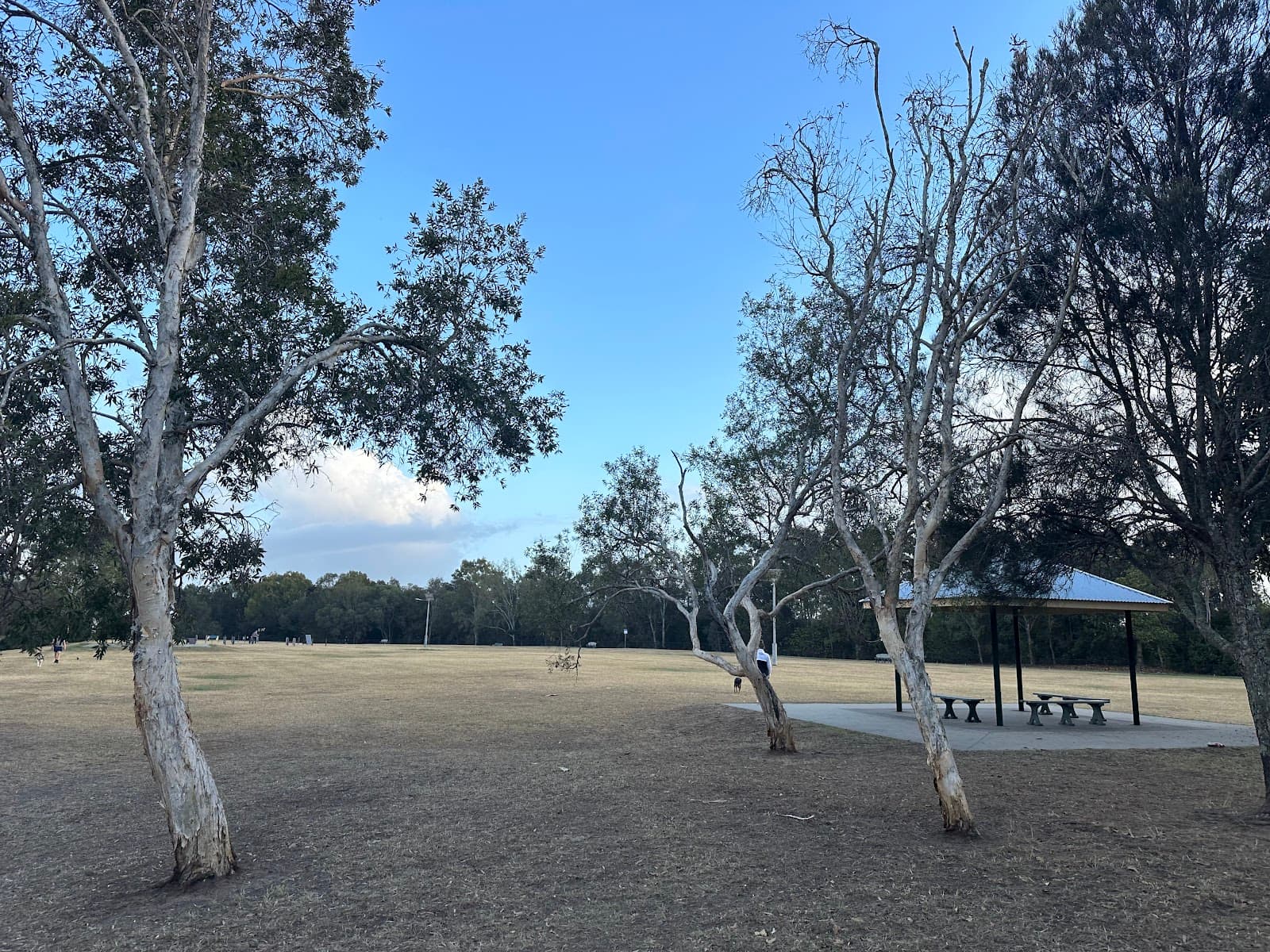 Elanora Park Fenced Dog Park — Wynnum, Brisbane