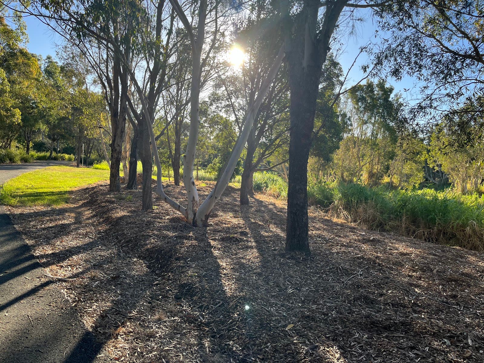 Mookin-bah Reserve — Manly, Brisbane