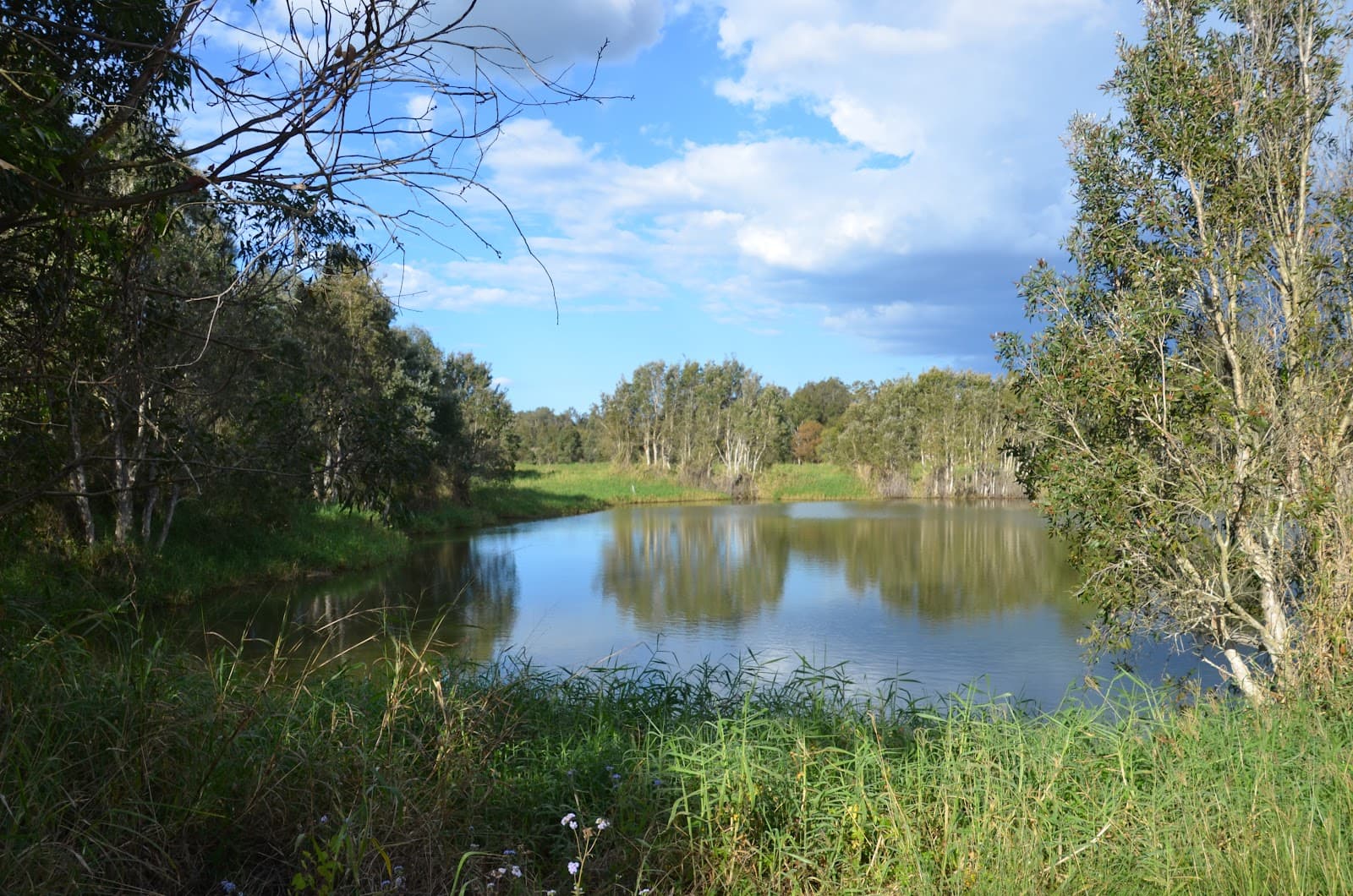 Mookin-bah Reserve — Wakerley, Brisbane