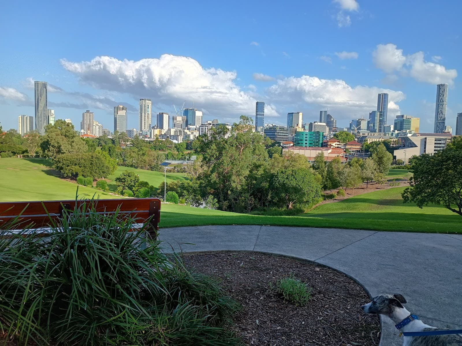 The Victoria Park Lookout — Fortitude Valley, Brisbane