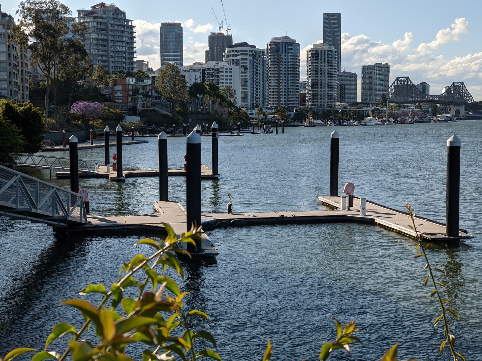 Mowbray Park Lookout — Brisbane CBD, Brisbane