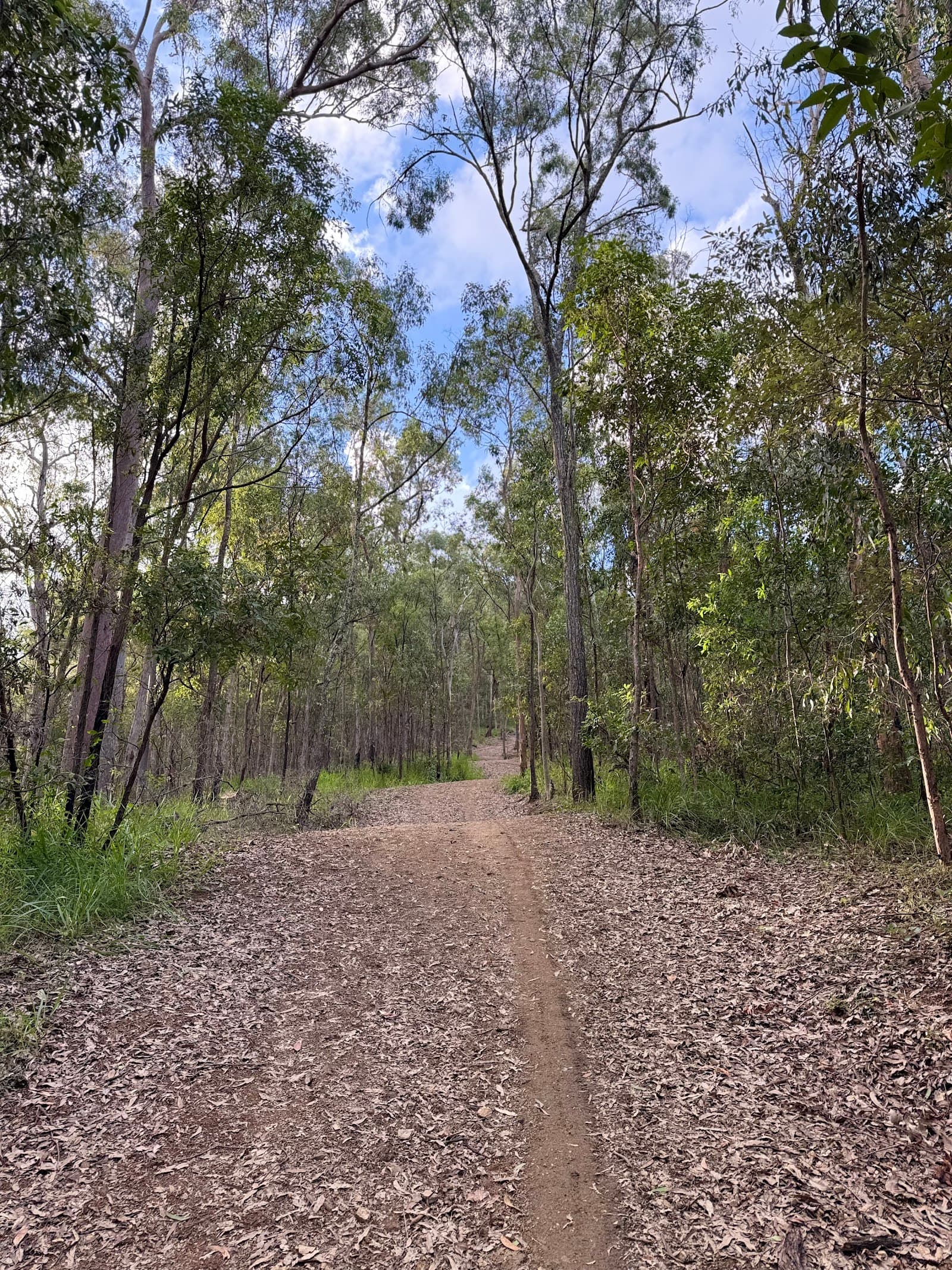 Lookout Trail — Toowong, Brisbane