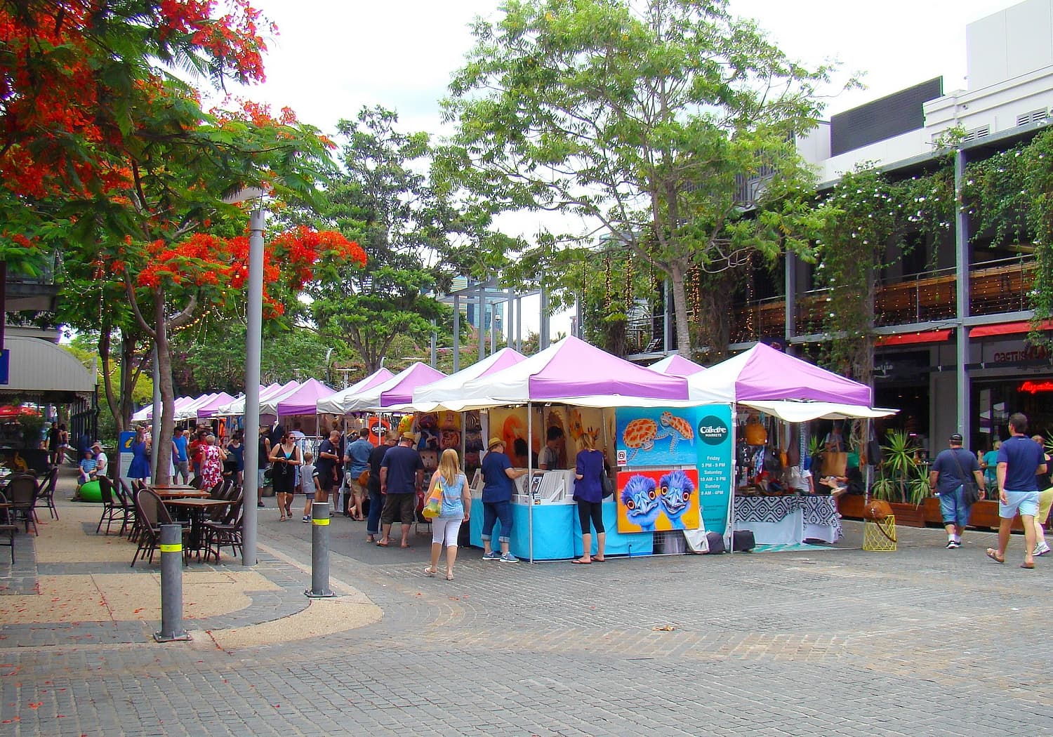 Lifestyle Markets — South Brisbane, Brisbane