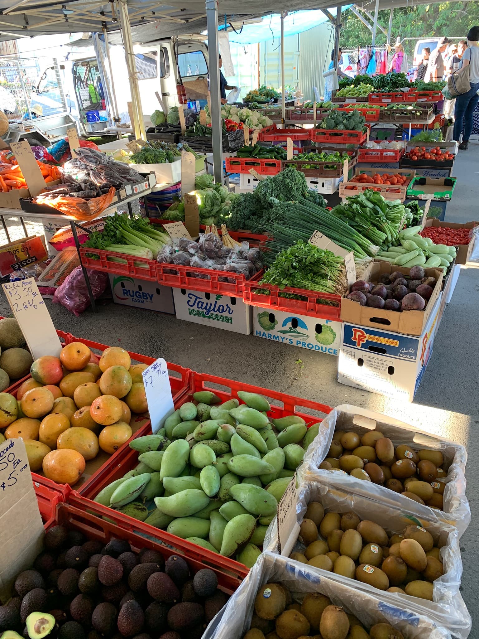 Mt Gravatt Sunday Markets — Wynnum, Brisbane