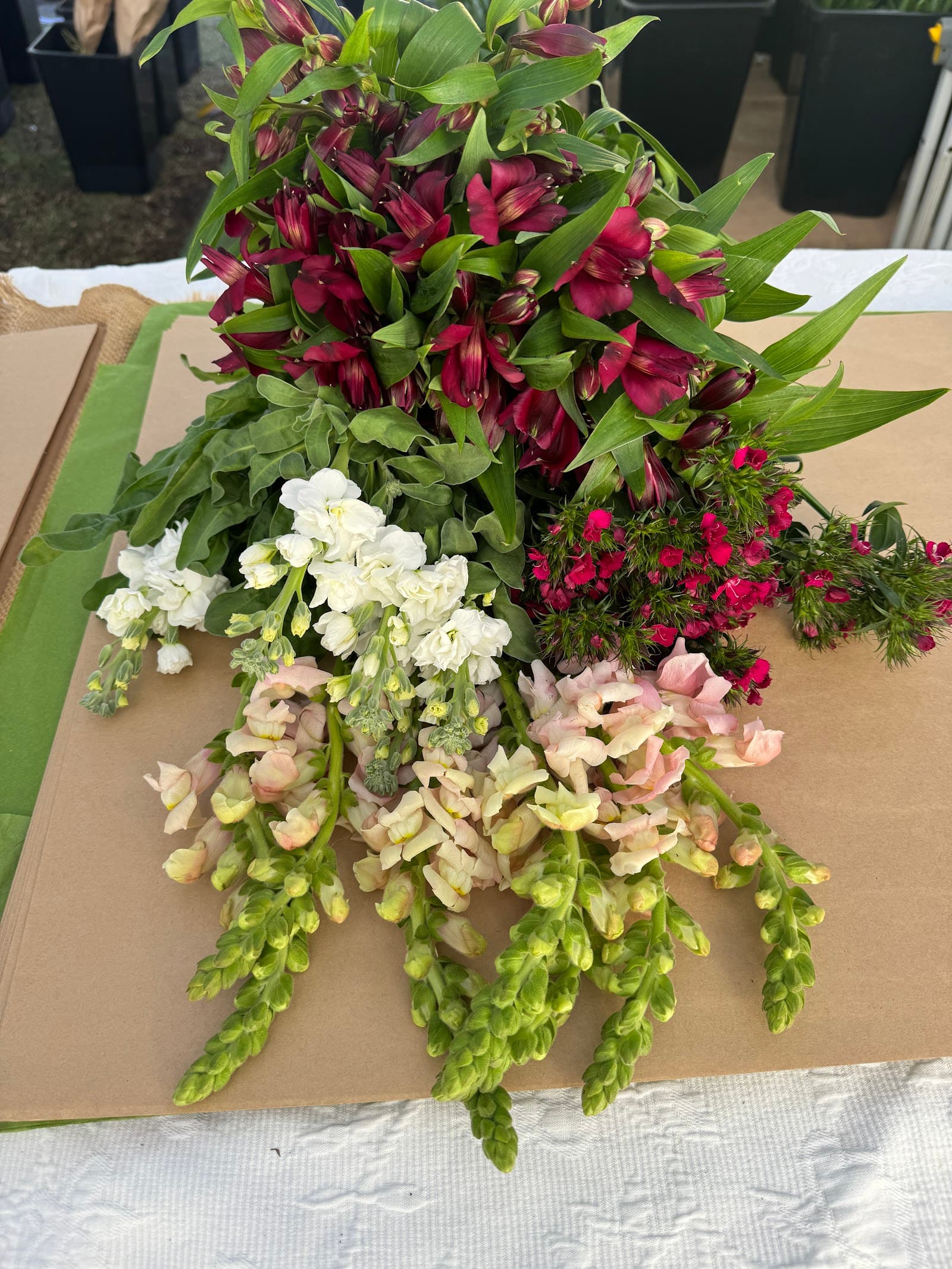 Farmgate Flowers Direct — Toowong, Brisbane