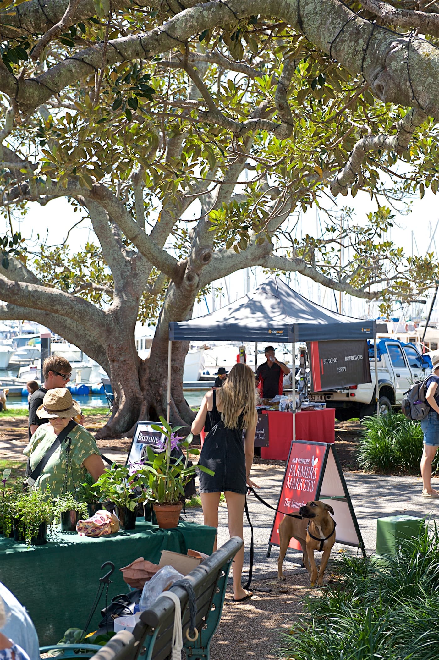 Jan Powers Farmers Markets Manly — Manly, Brisbane