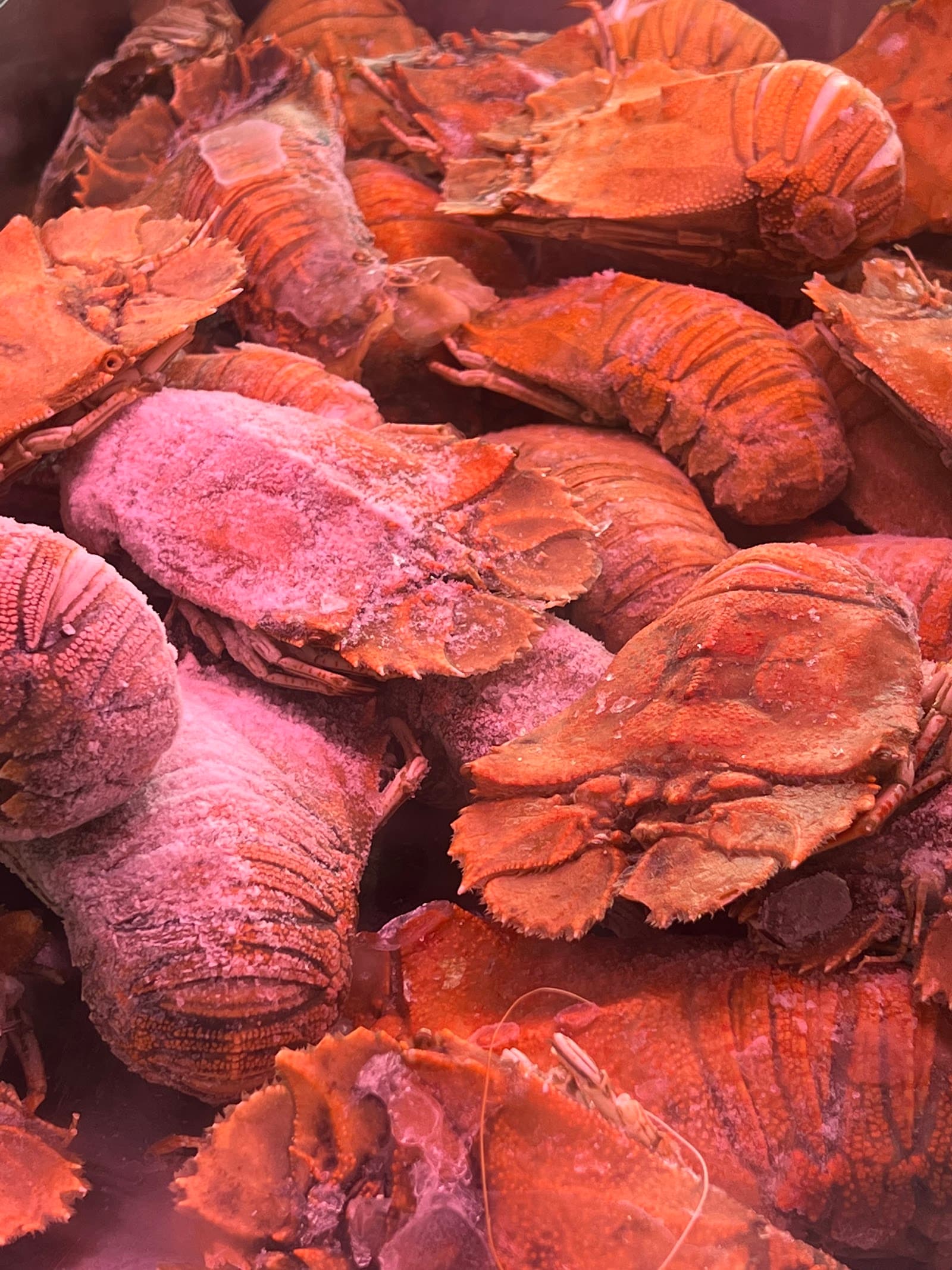 Triton Seafood Market — Wynnum, Brisbane