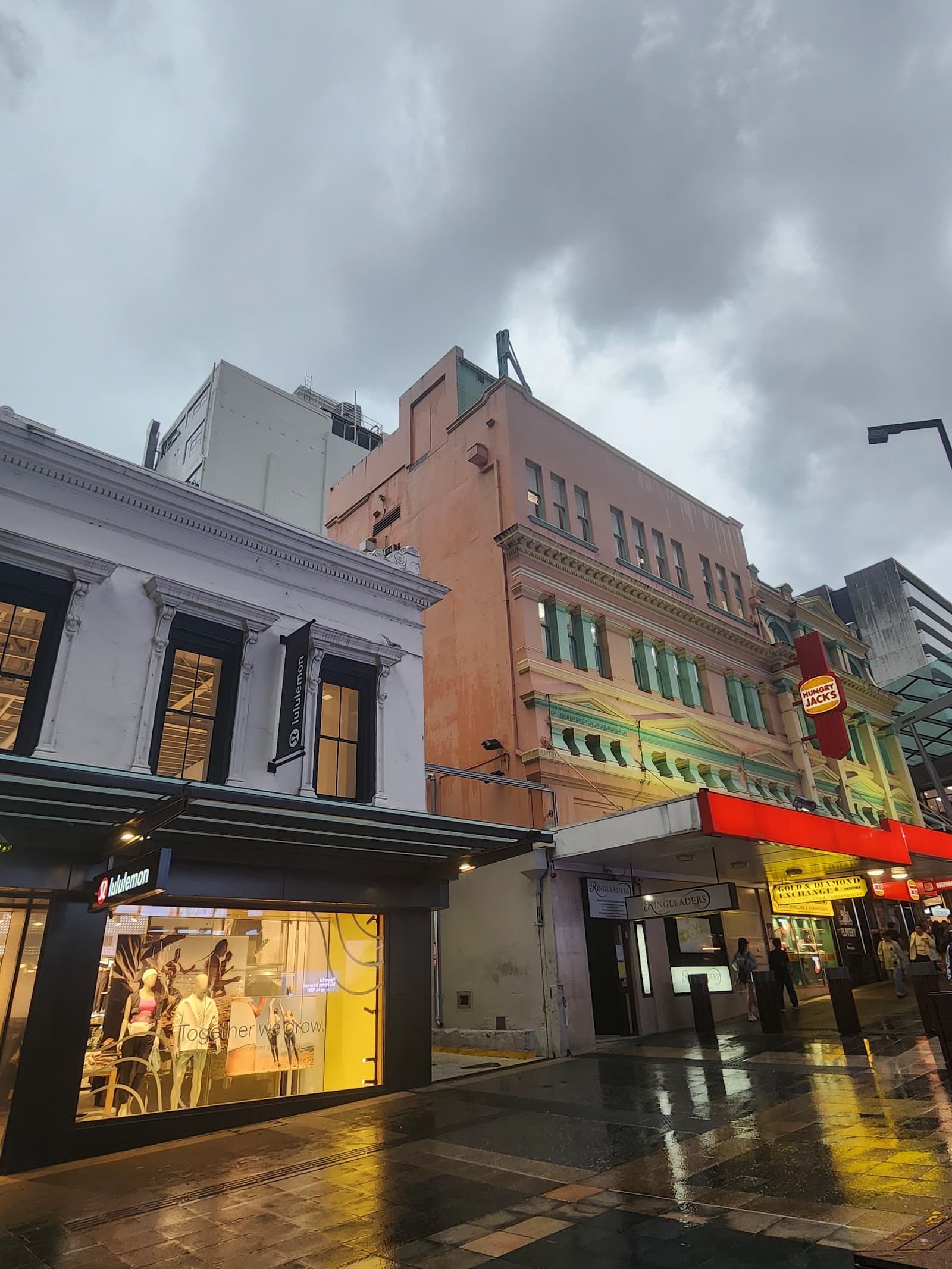 The Lone Tree Amongst the Architecture — Milton, Brisbane