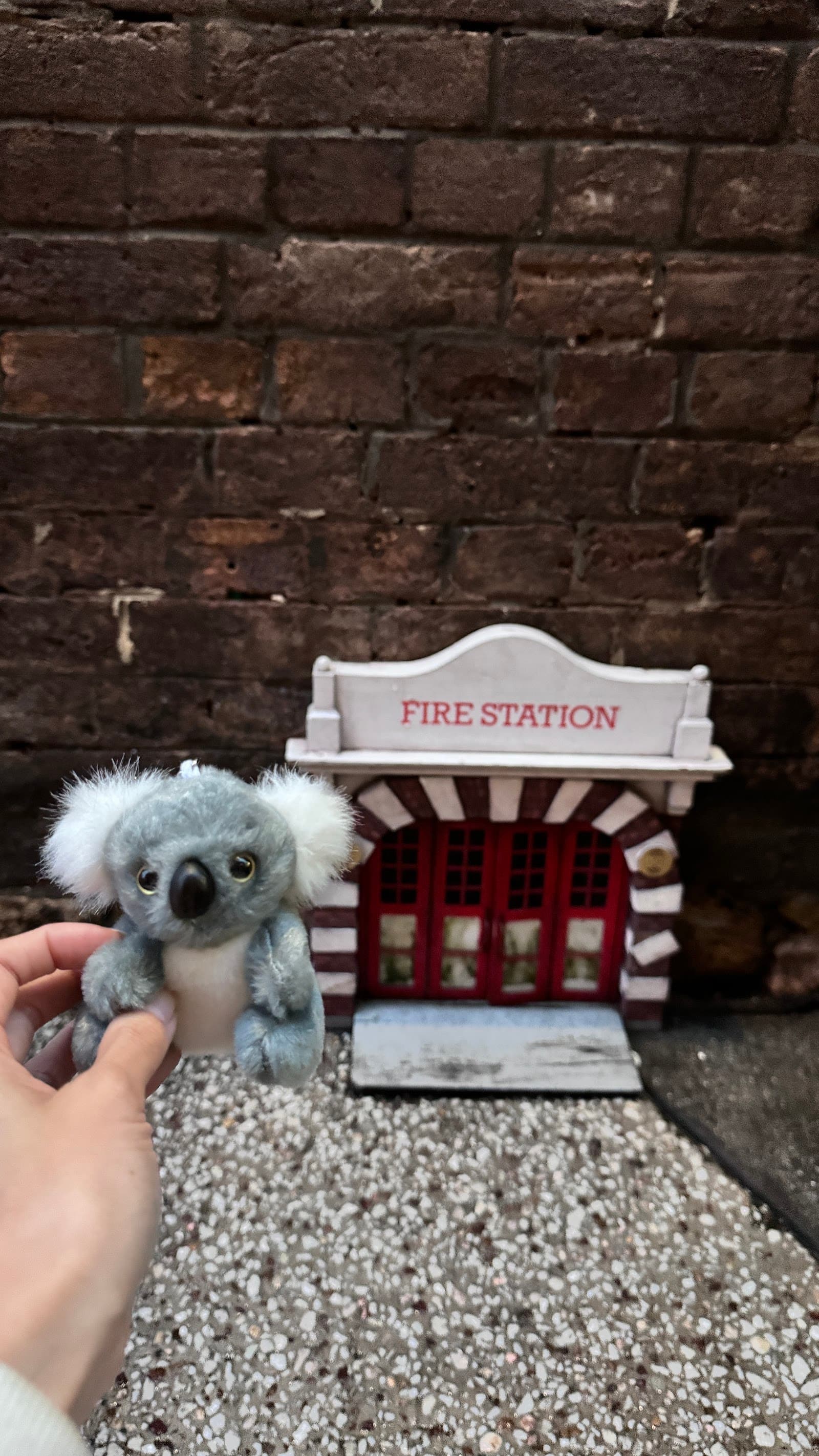 Fire Station Tiny Door — Fortitude Valley, Brisbane