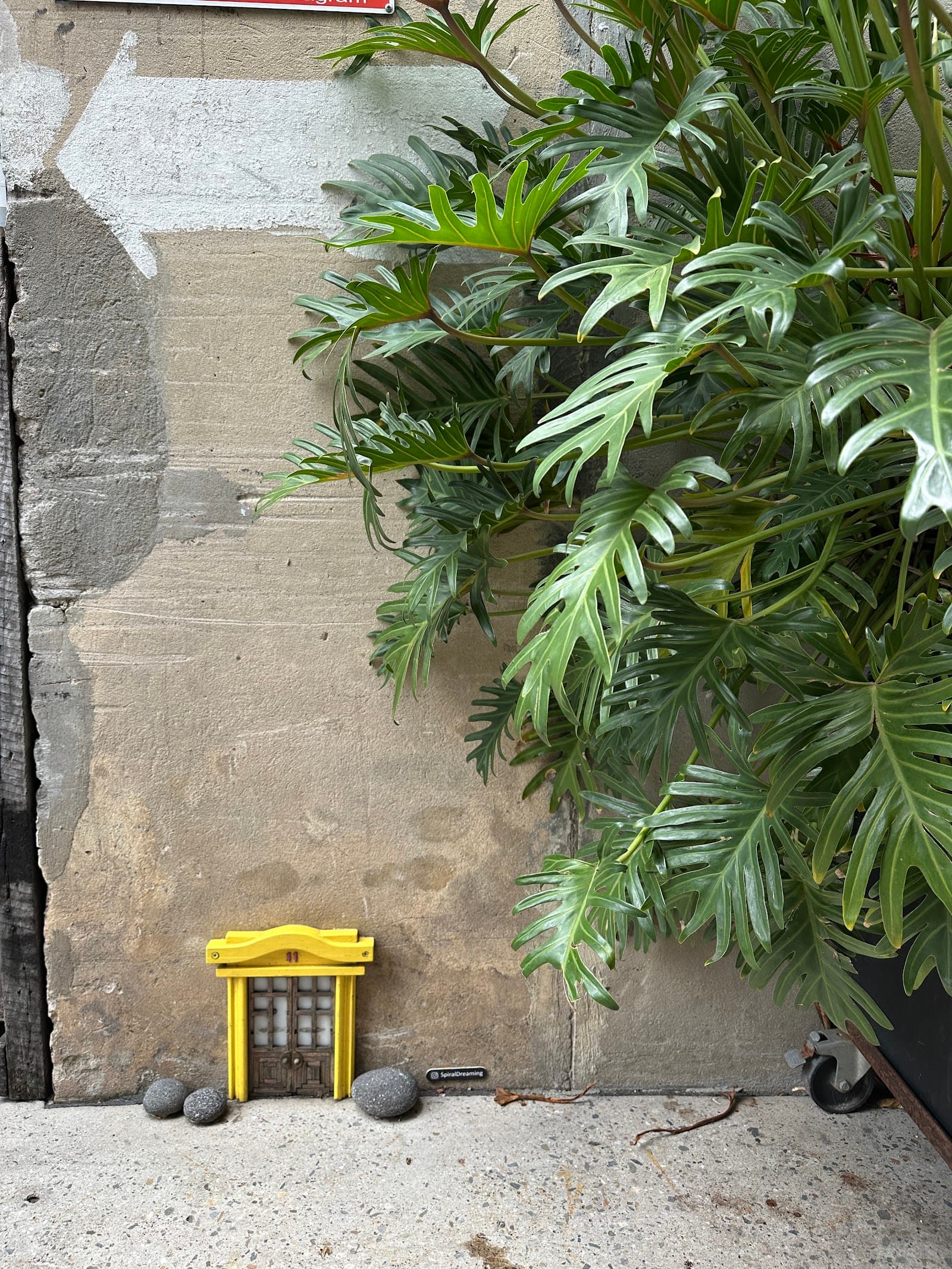 Tiny Door No. 11 Bakery Lane — Fortitude Valley, Brisbane