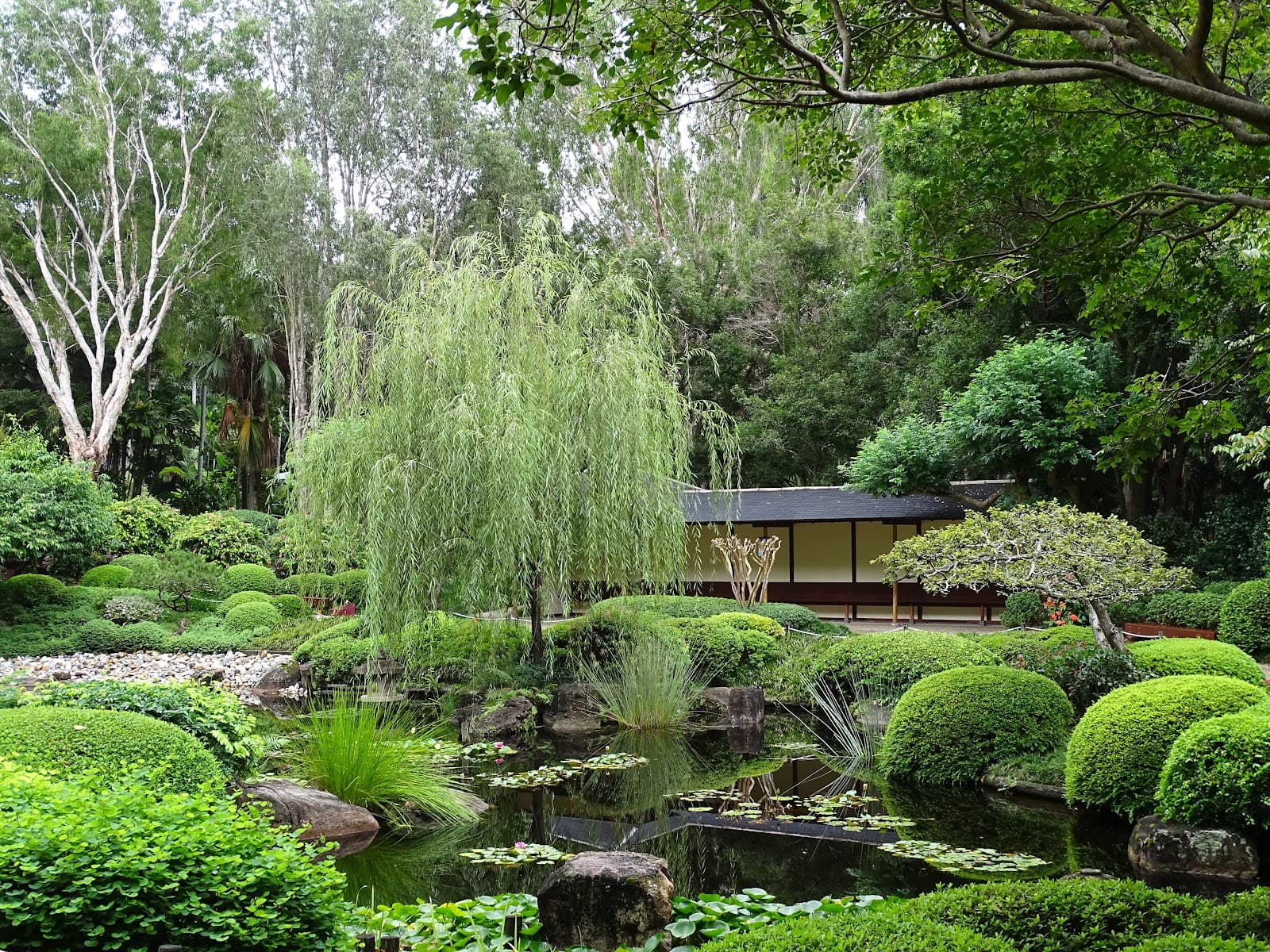 Japanese Garden — Toowong, Brisbane