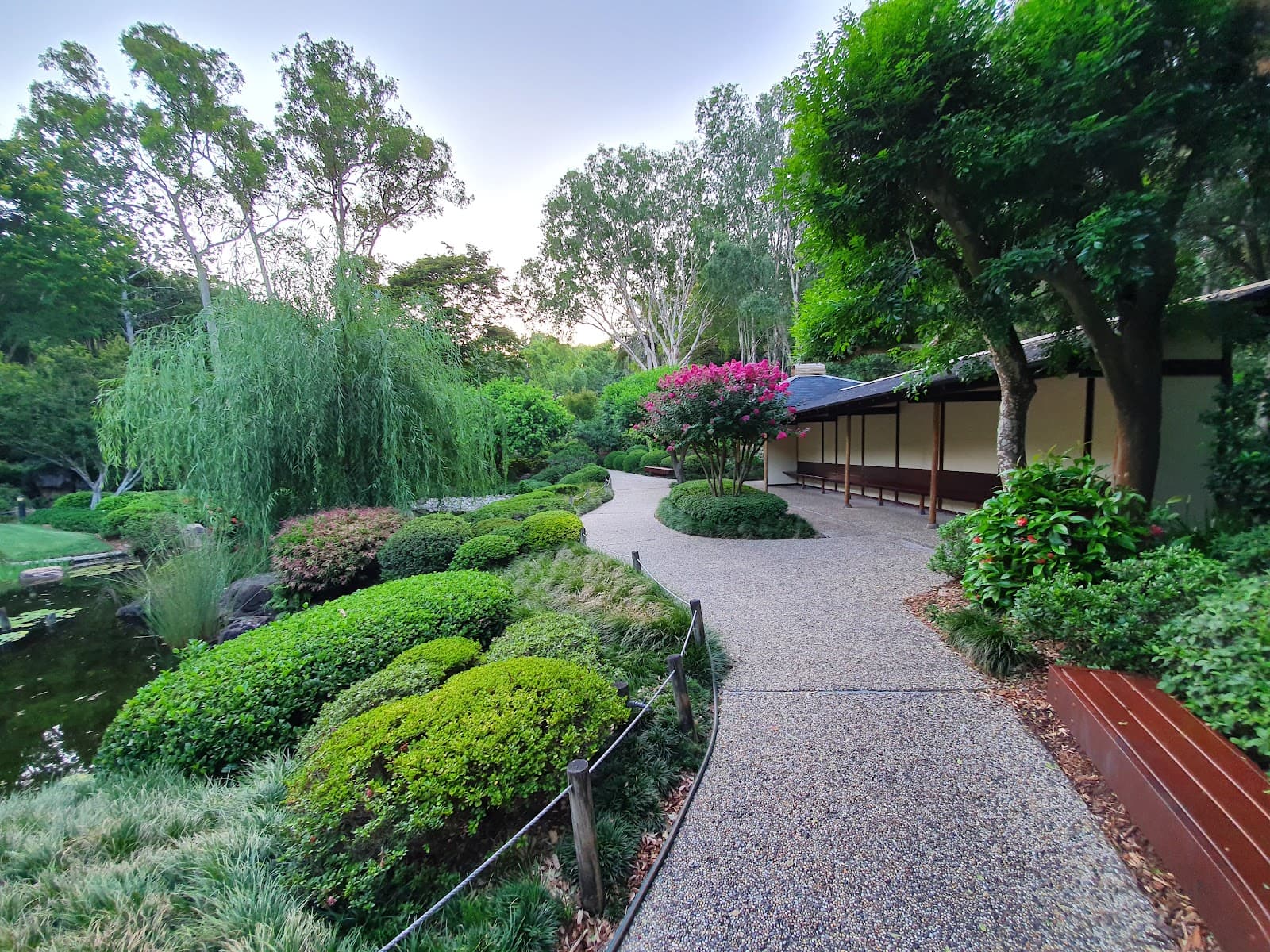Japanese Garden — Toowong, Brisbane