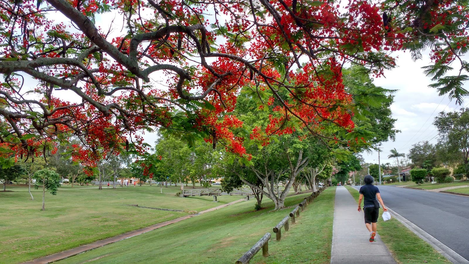 Frederick Annand Park — Chermside West, Brisbane
