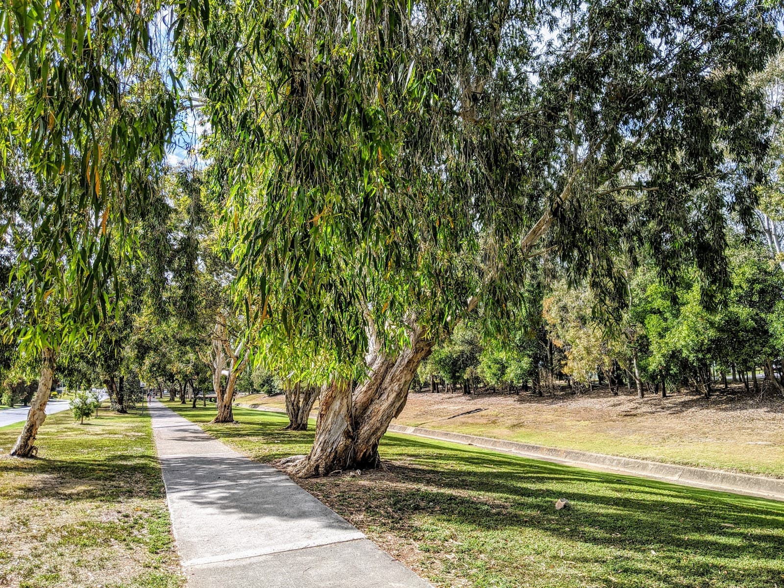 Melaleuca Green Park — Chermside, Brisbane