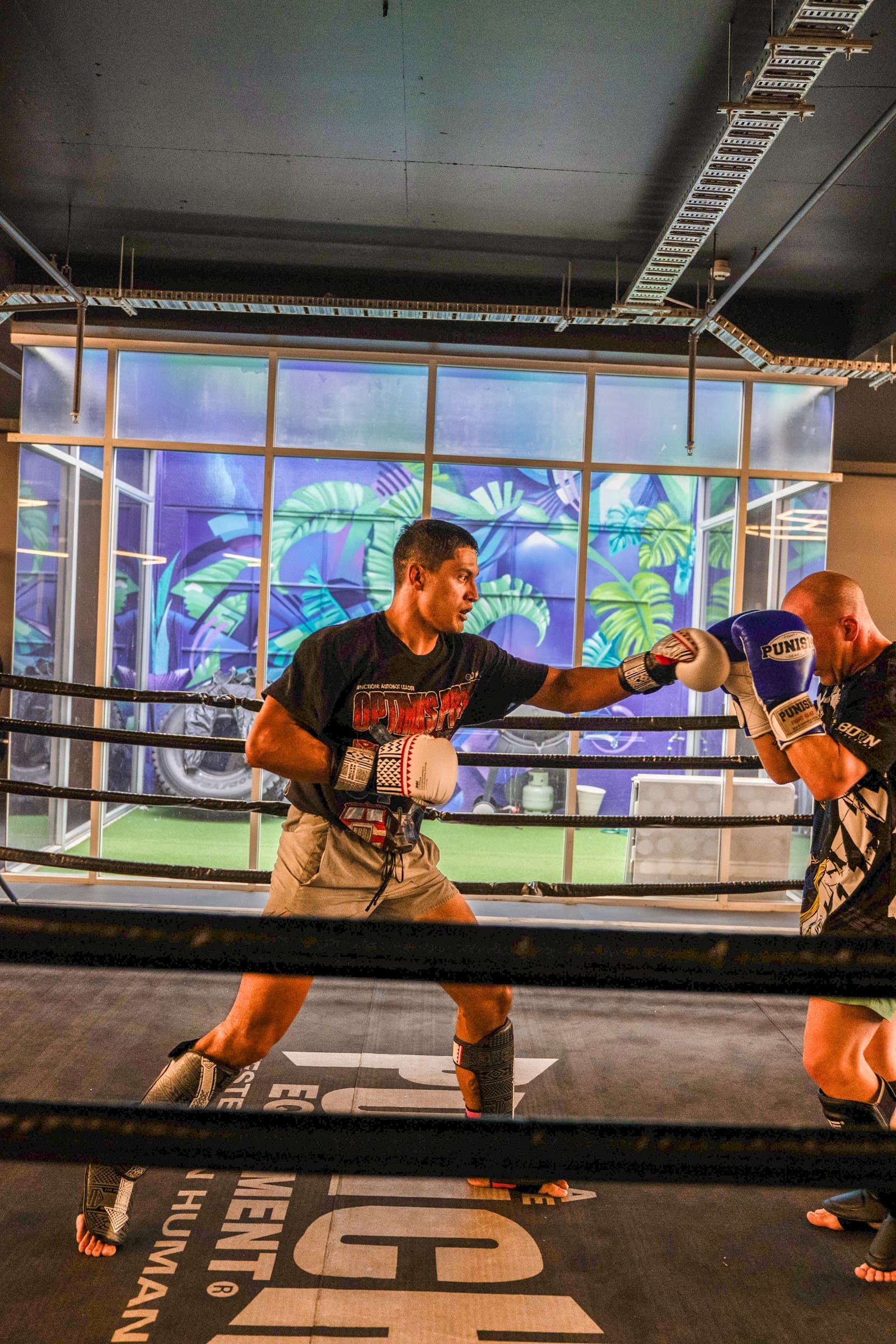 PoundIt Valley Fitness Centre - BJJ, Boxing, Muay Thai, MMA, Gym — New Farm, Brisbane