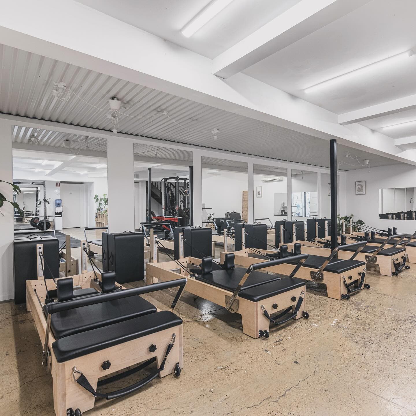 Habitual Health Collective — New Farm, Brisbane