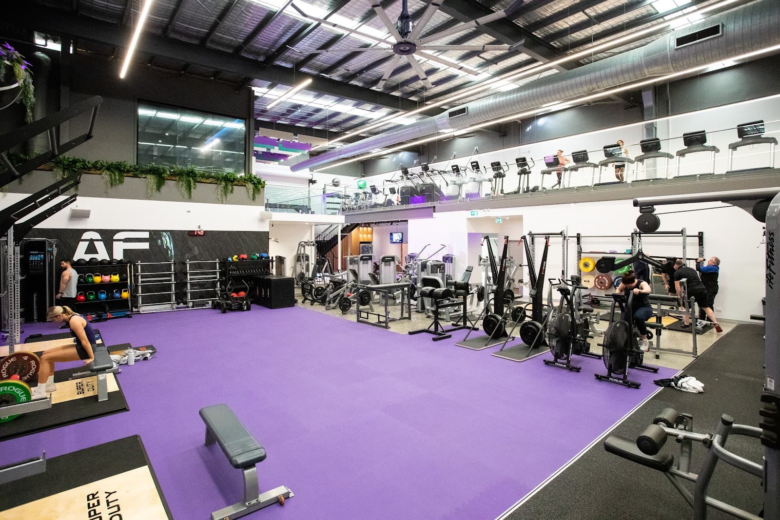 Anytime Fitness Bulimba — Bulimba, Brisbane