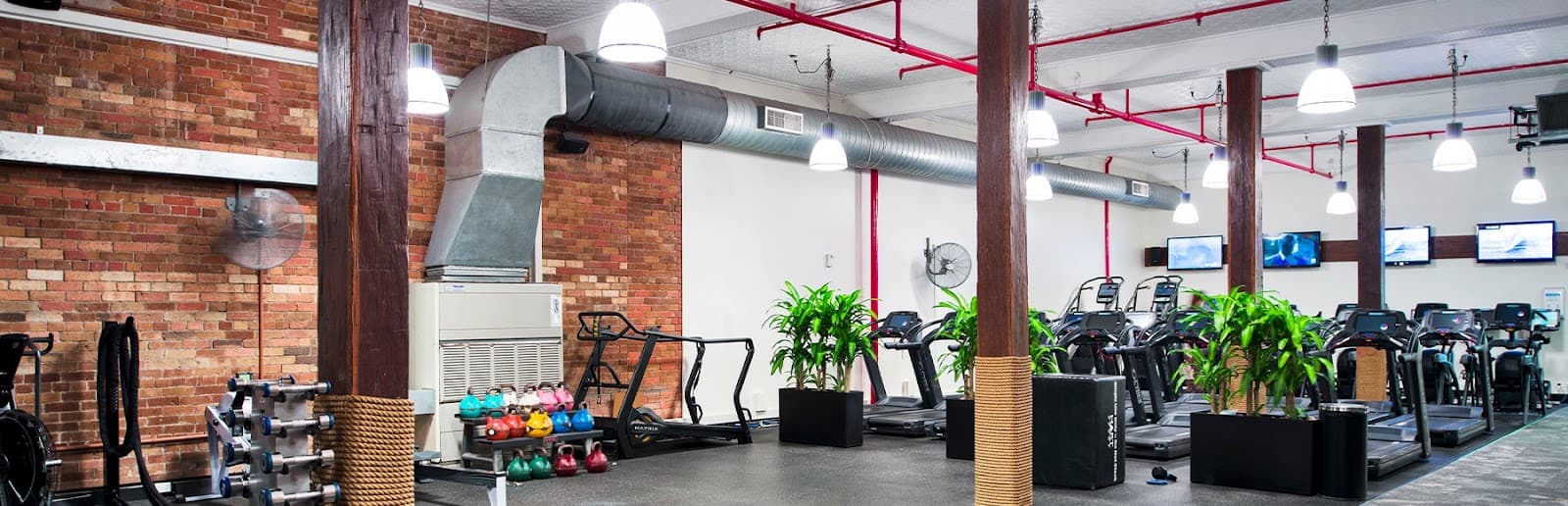 Goodlife Health Clubs Edward Street — Brisbane CBD, Brisbane