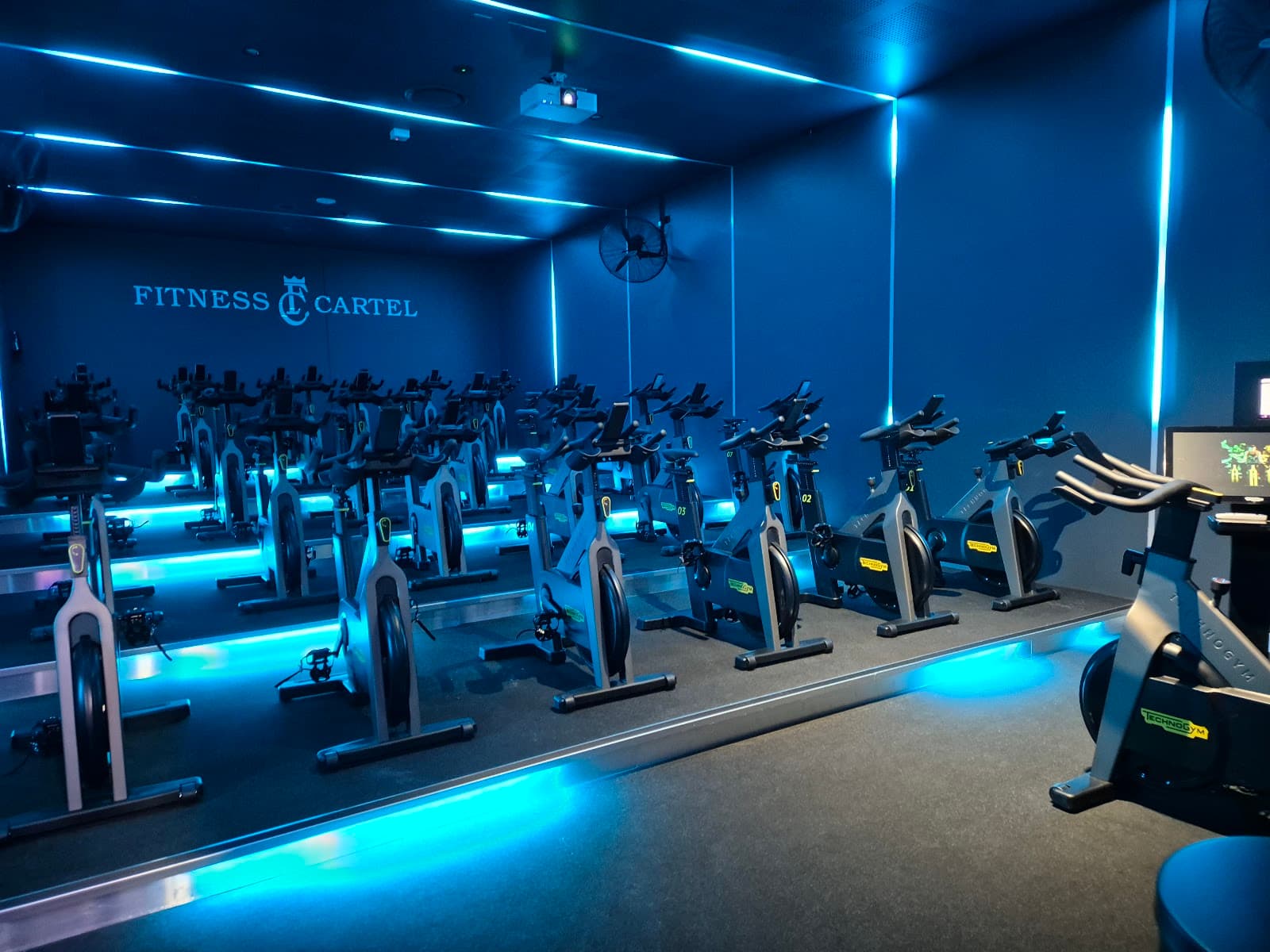 Fitness Cartel Health Clubs Virginia - 24/7 Gym — Chermside, Brisbane