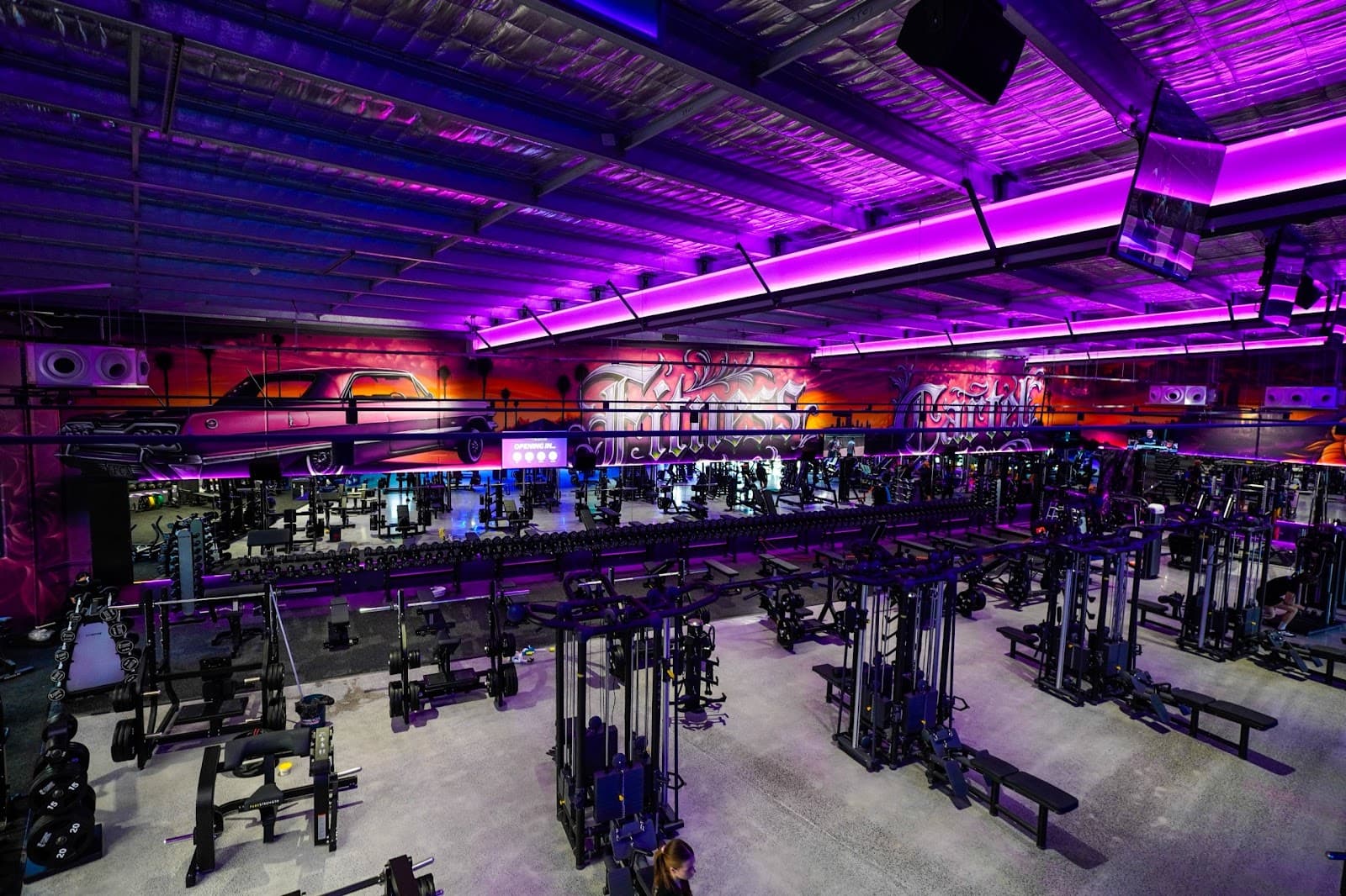 Fitness Cartel Health Clubs Tingalpa - 24/7 Gym — Wynnum, Brisbane
