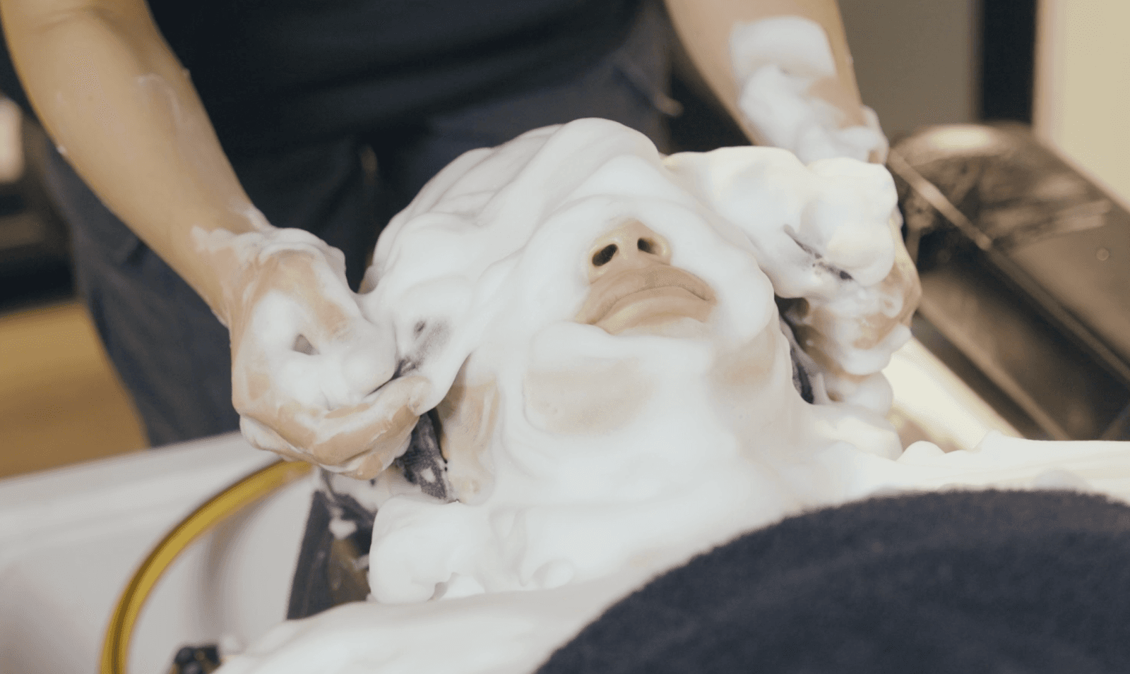 Yuki Japanese Head Spa WEST END — Toowong, Brisbane