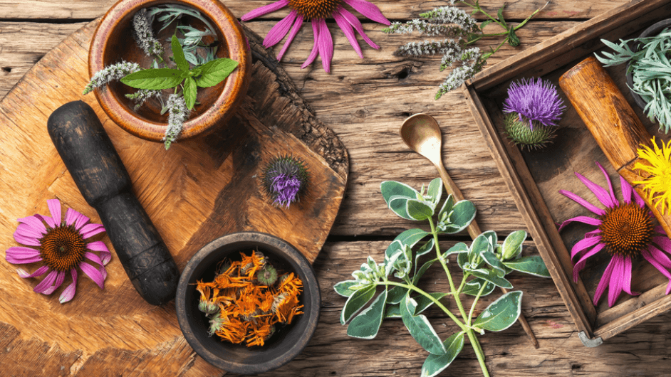 Health Squared Indooroopilly — Indooroopilly, Brisbane
