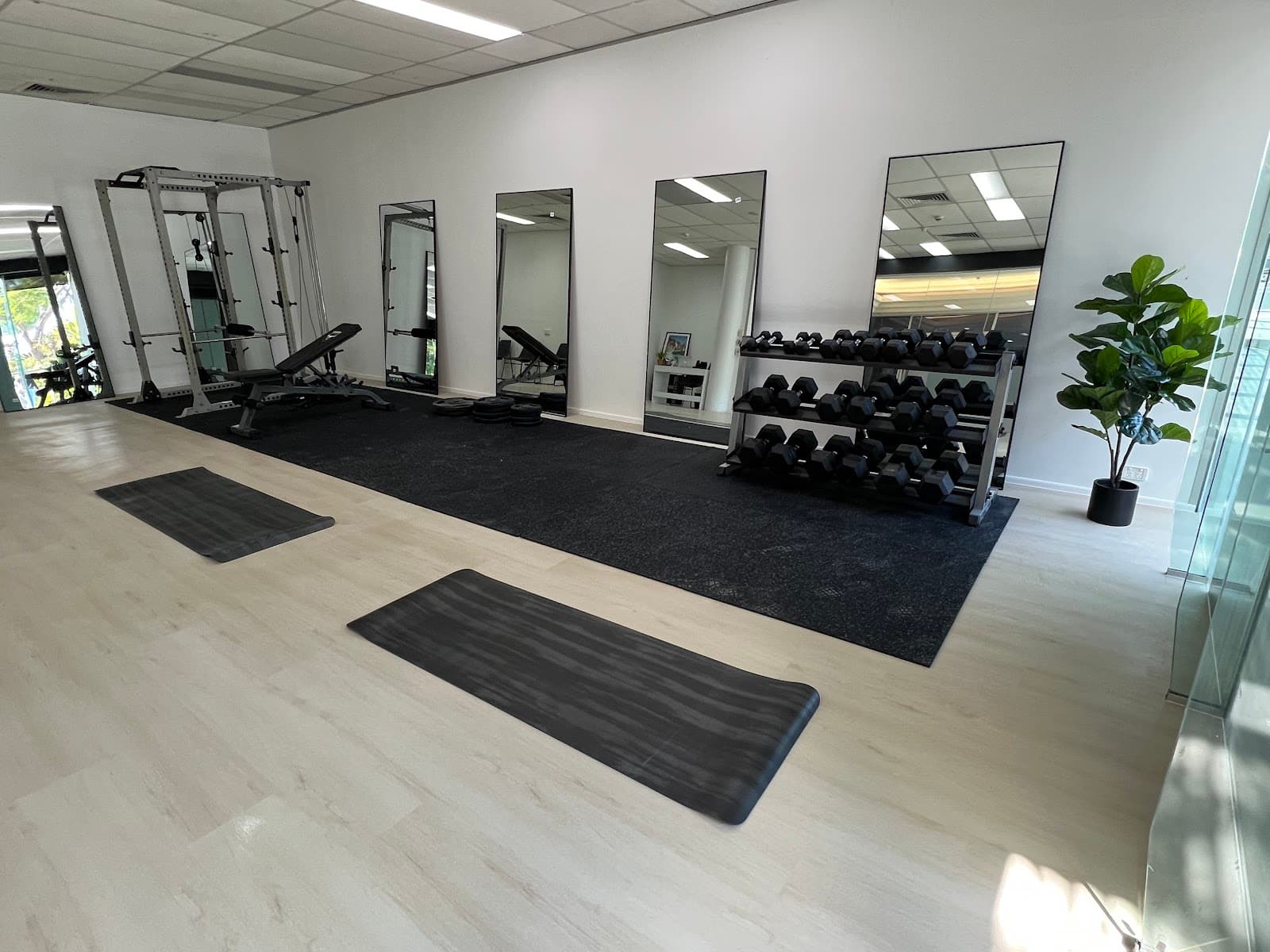 Align Health Collective — Indooroopilly, Brisbane