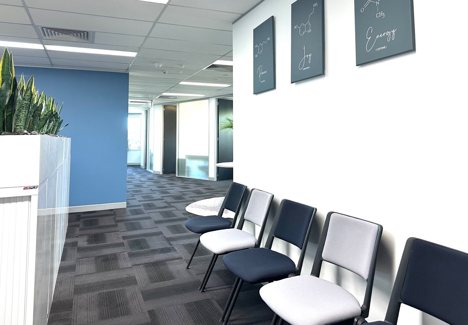 Blue Flame Wellness — Indooroopilly, Brisbane